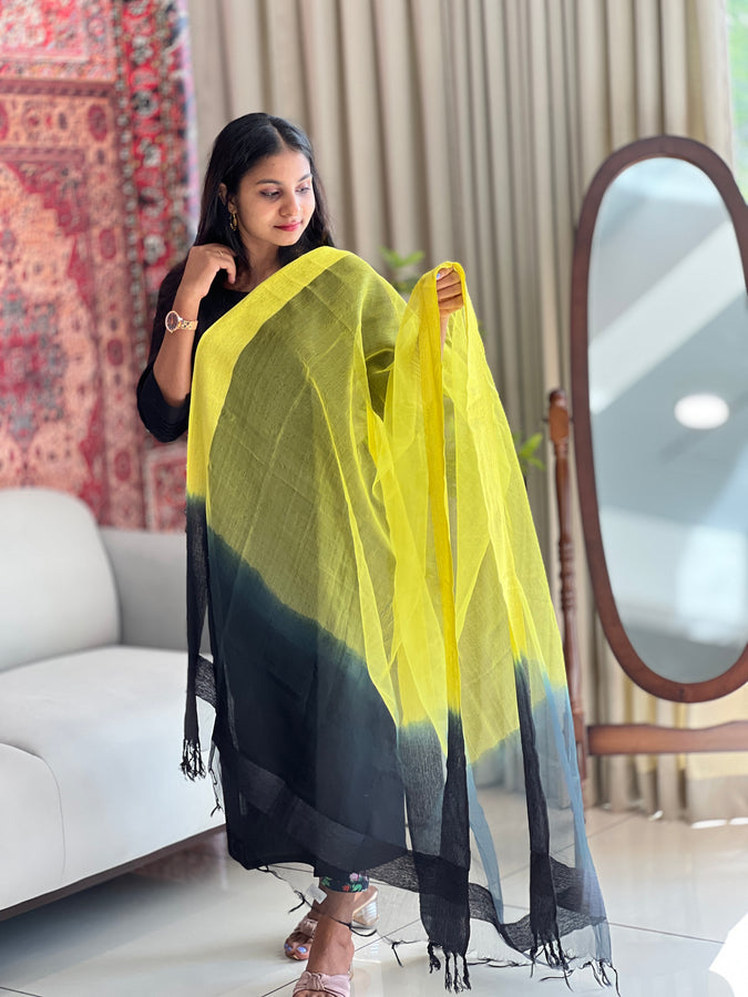 Double Shaded Organza Finish Dupatta | SS1017