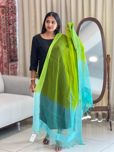 Double Shaded Organza Finish Dupatta | SS1020