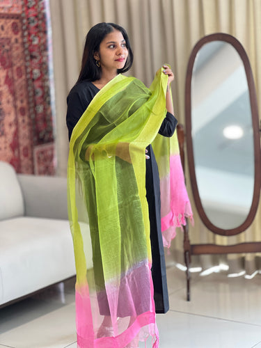 Double Shaded Organza Finish Dupatta | SS1021