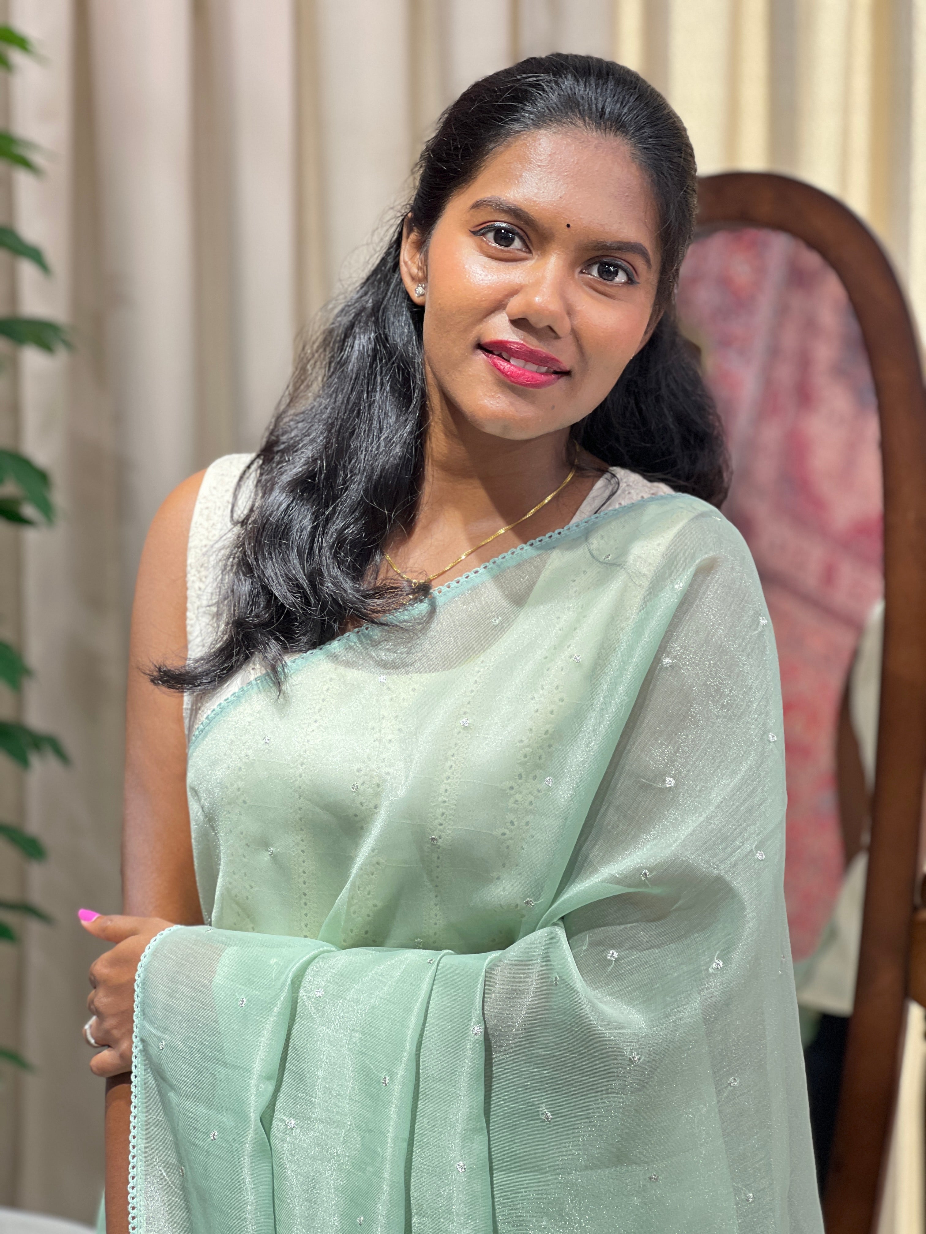 Floral Applique Detailed Tissue Organza Saree | PKS141