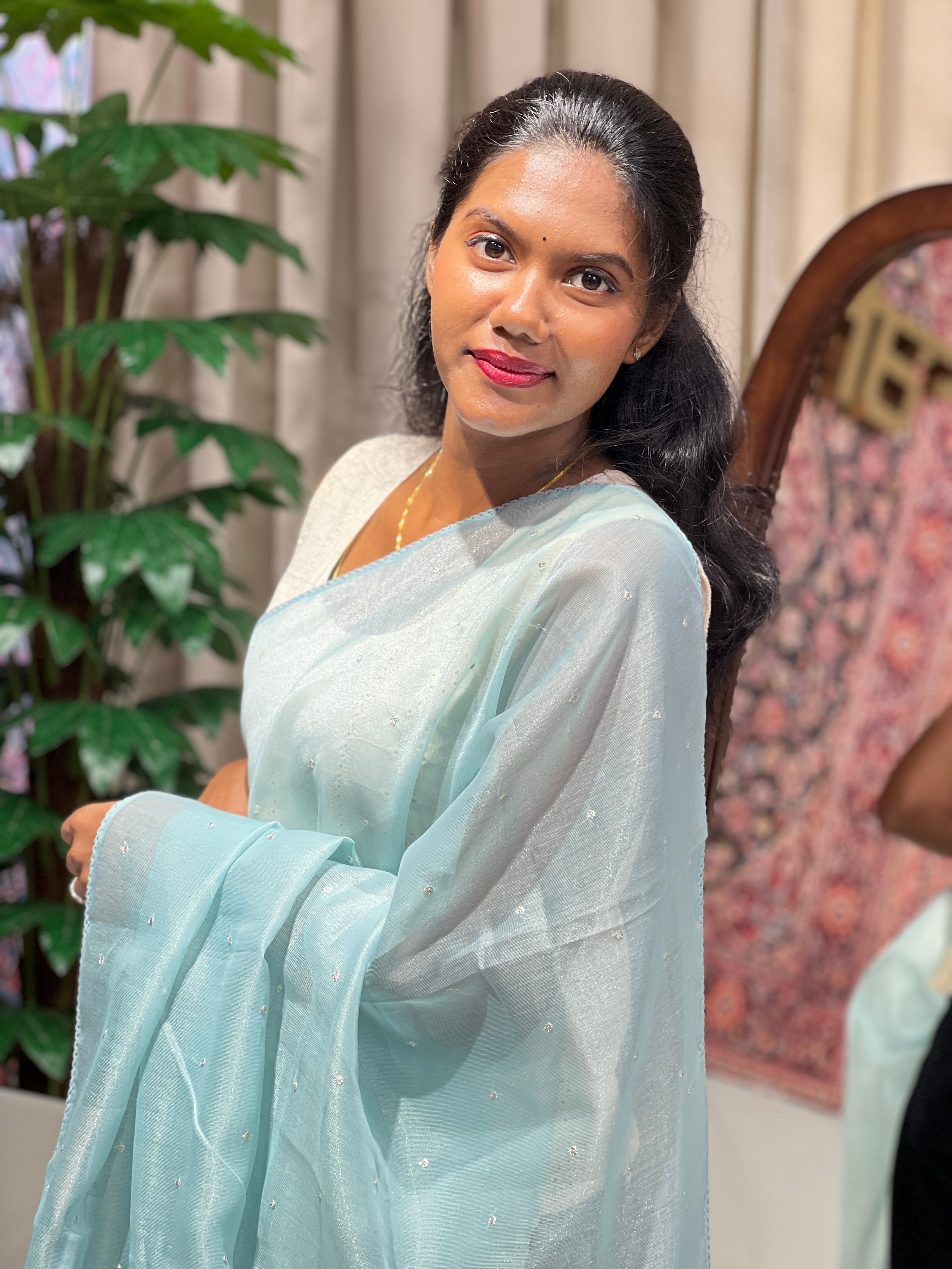 Floral Applique Detailed Tissue Organza Saree | PKS136