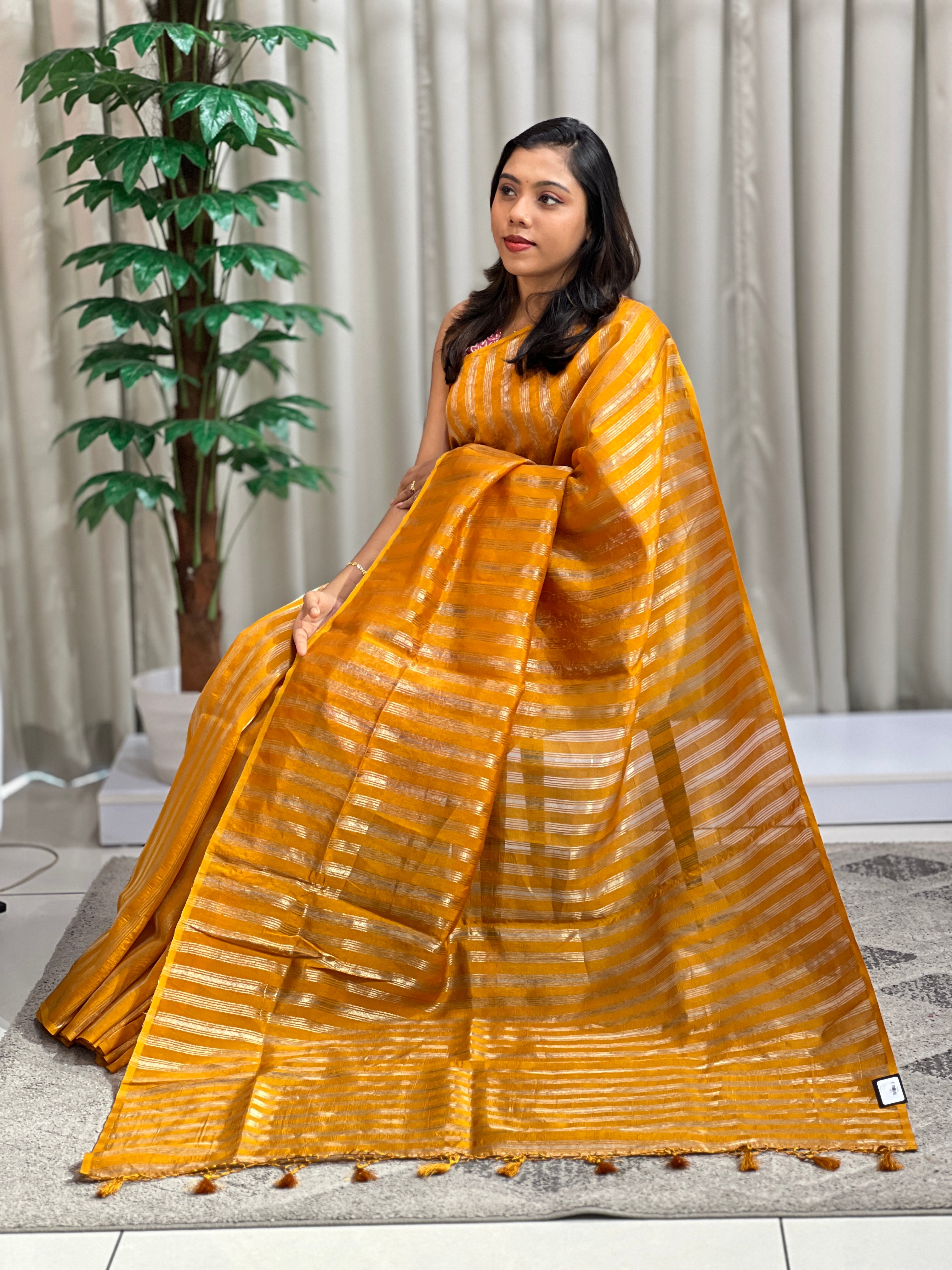 Stripe Woven Pattern Organza Saree | MB176