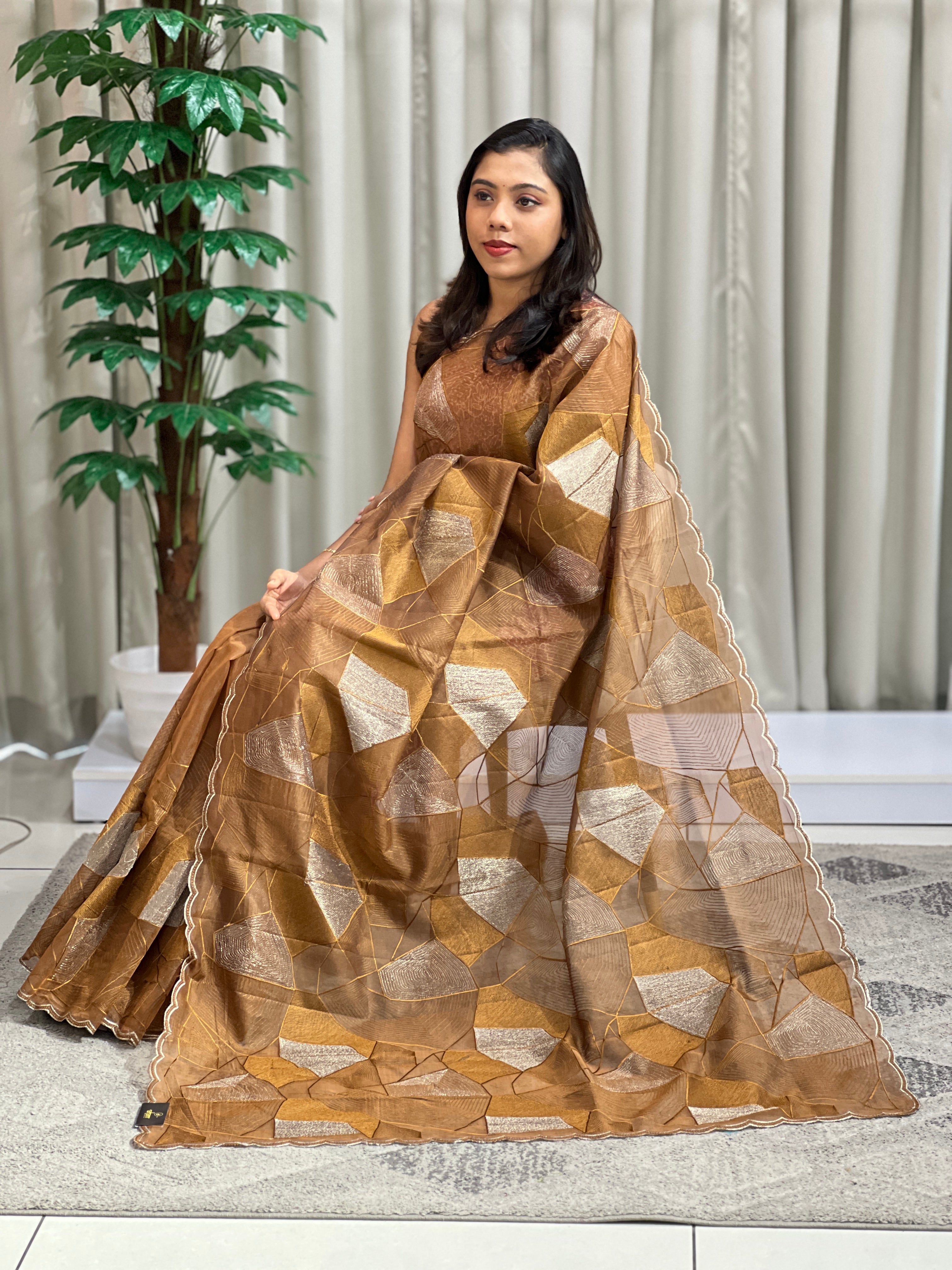 Floral Embroidered Organza Saree | ZSS152