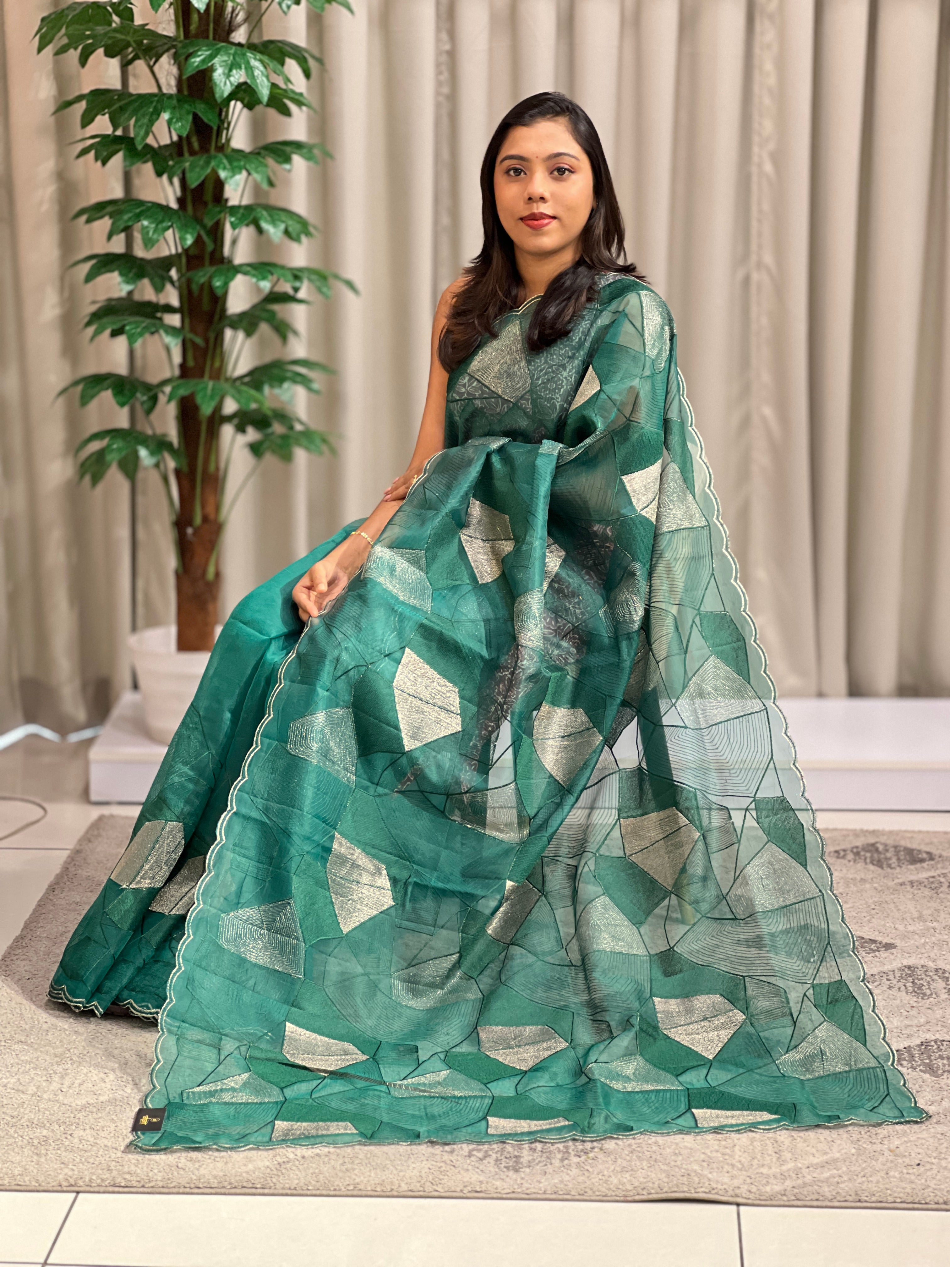 Floral Embroidered Organza Saree | ZSS149
