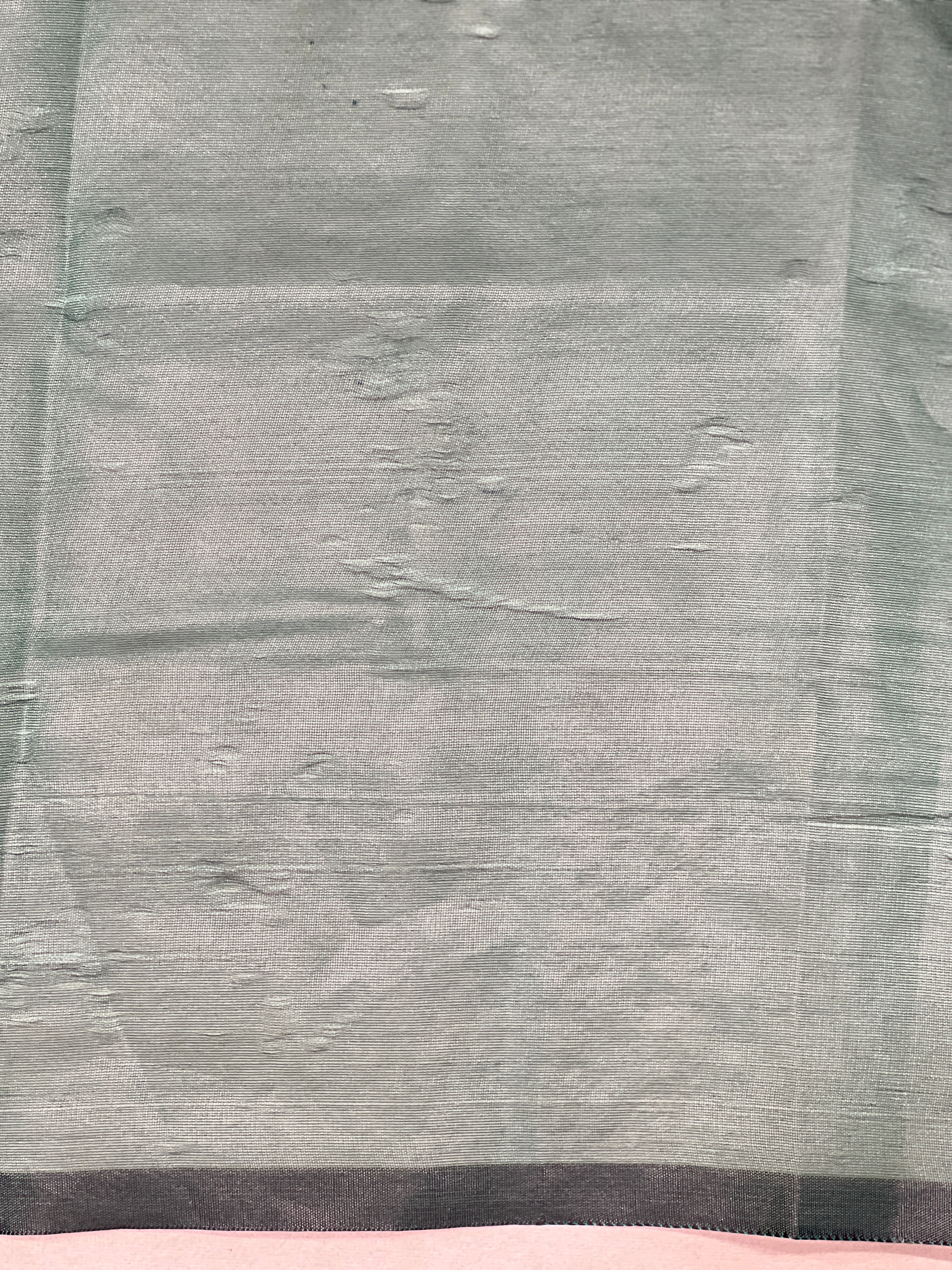Floral Embroidered Organza Saree | ZSS149