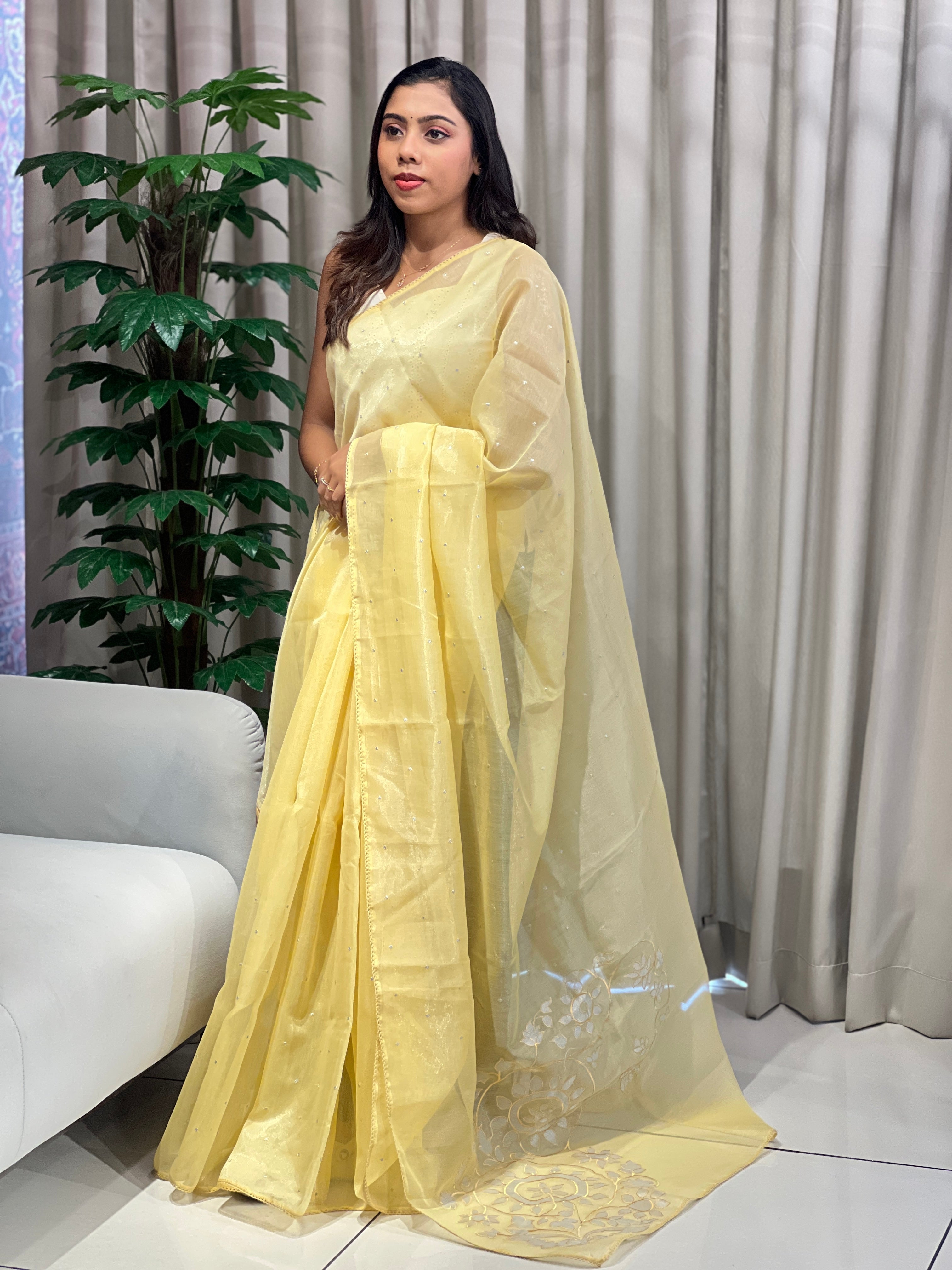 Floral Applique Detailed Tissue Organza Saree | PKS140