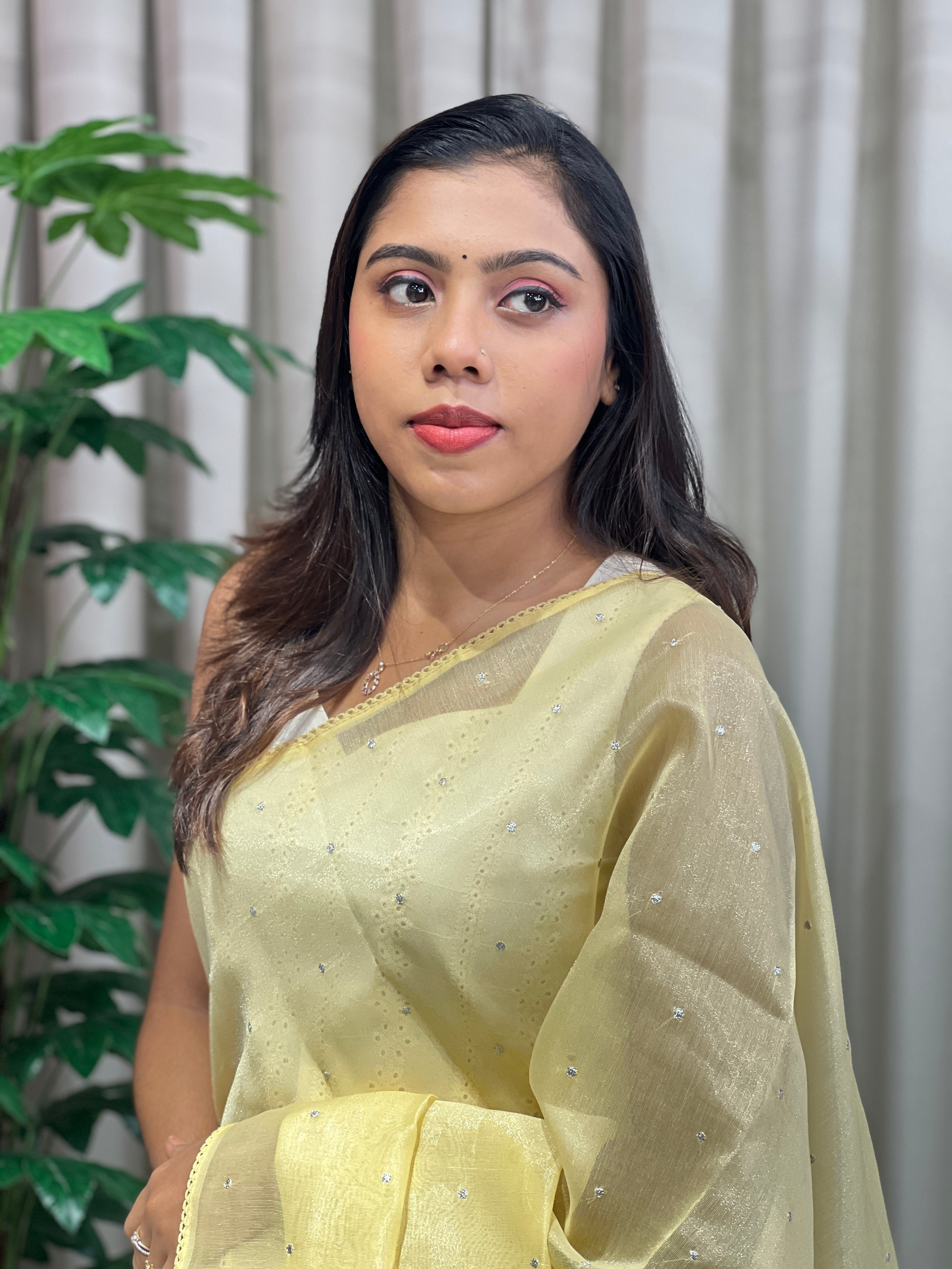 Floral Applique Detailed Tissue Organza Saree | PKS140