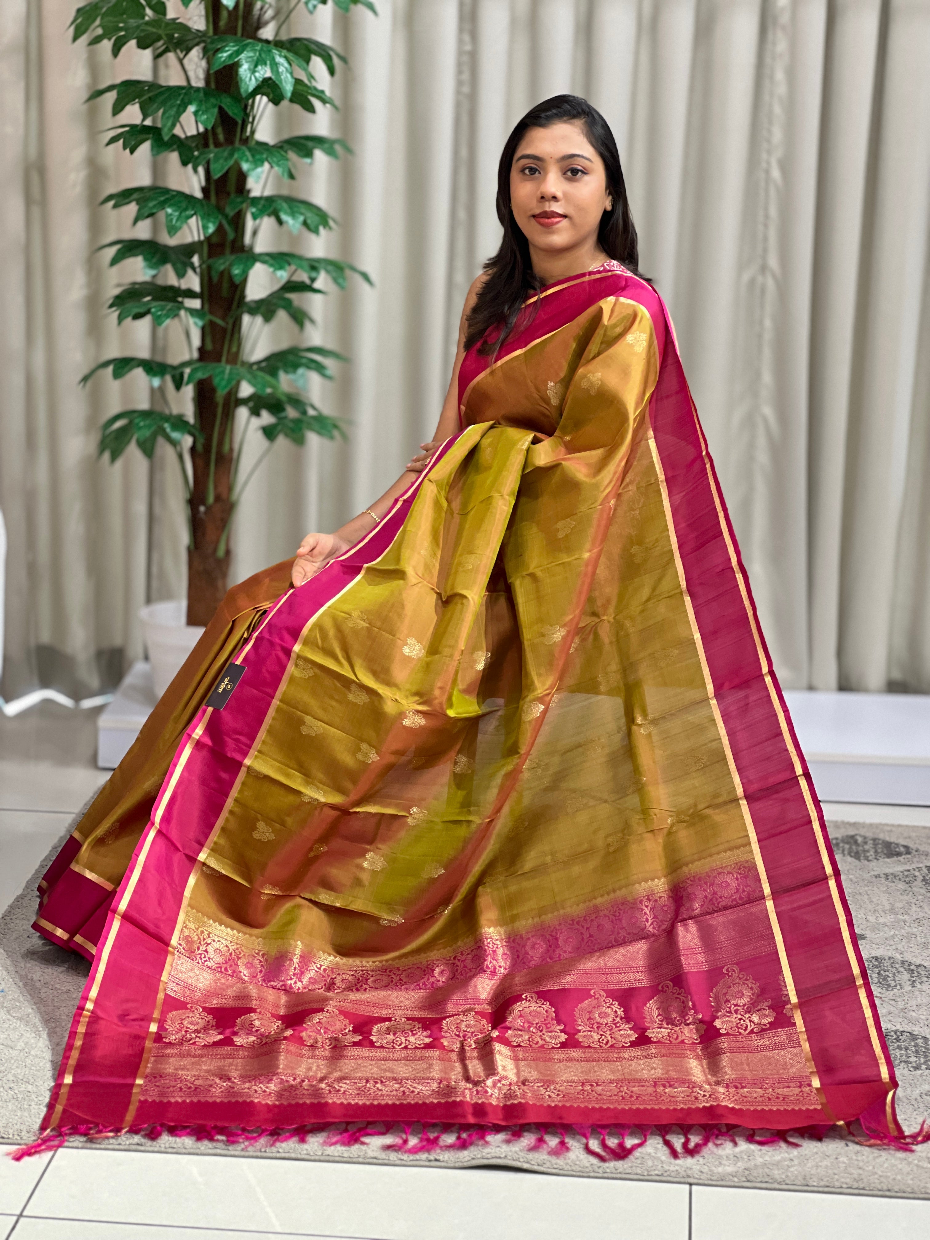 Paisley Motifs Woven Soft Silk Saree | SMT172