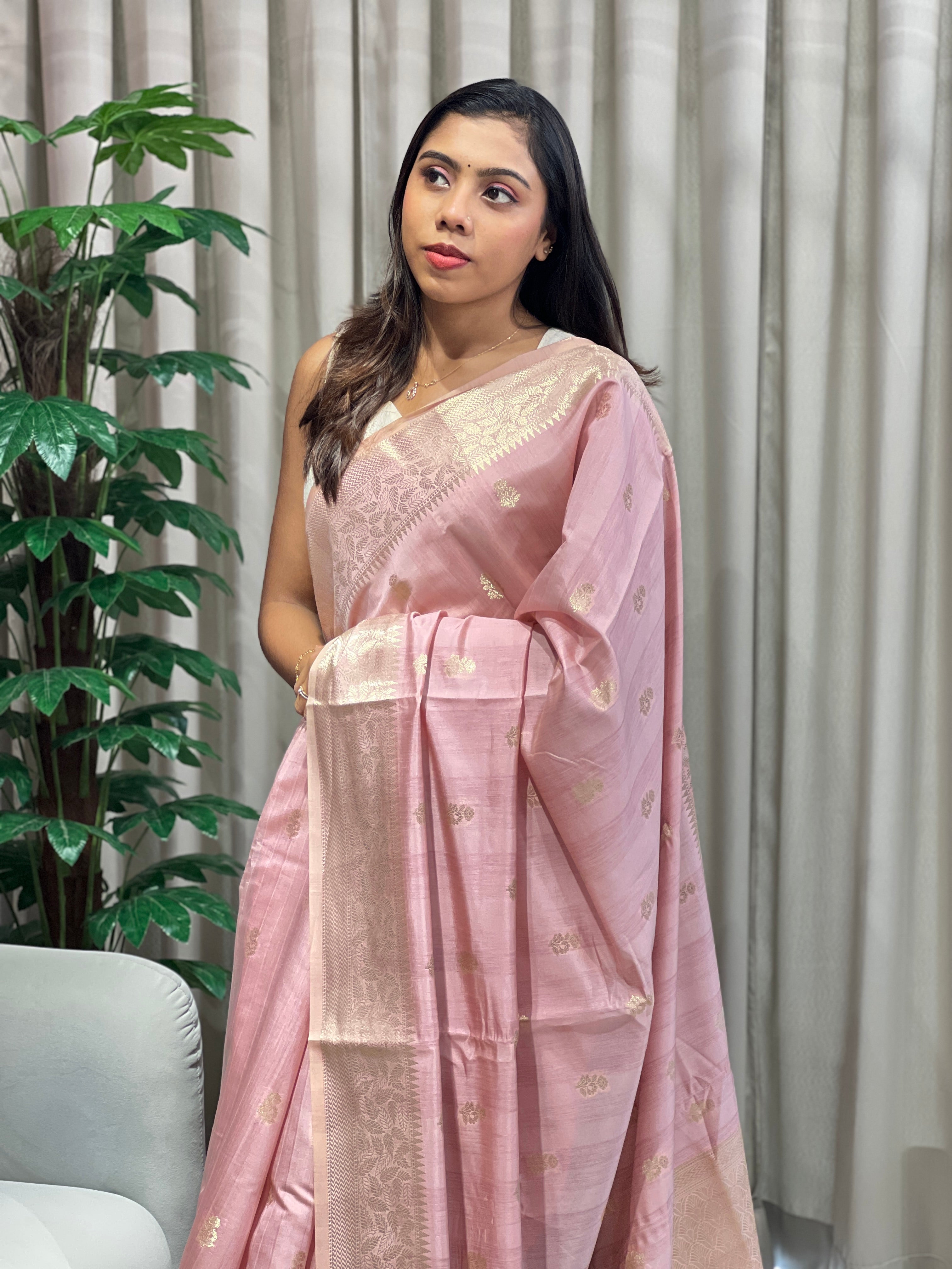 Zari Woven Banarasi Saree | NN457