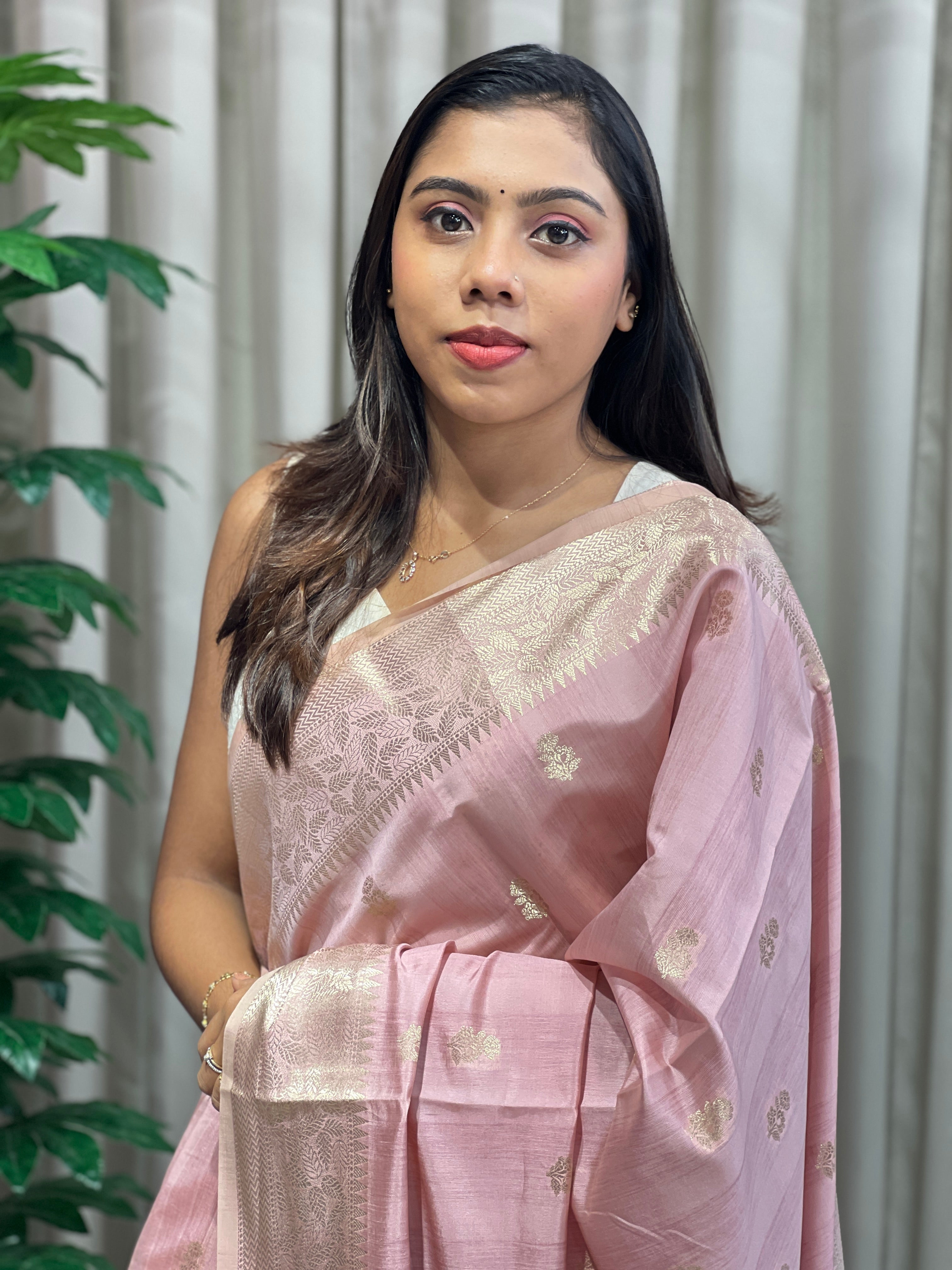 Zari Woven Banarasi Saree | NN457