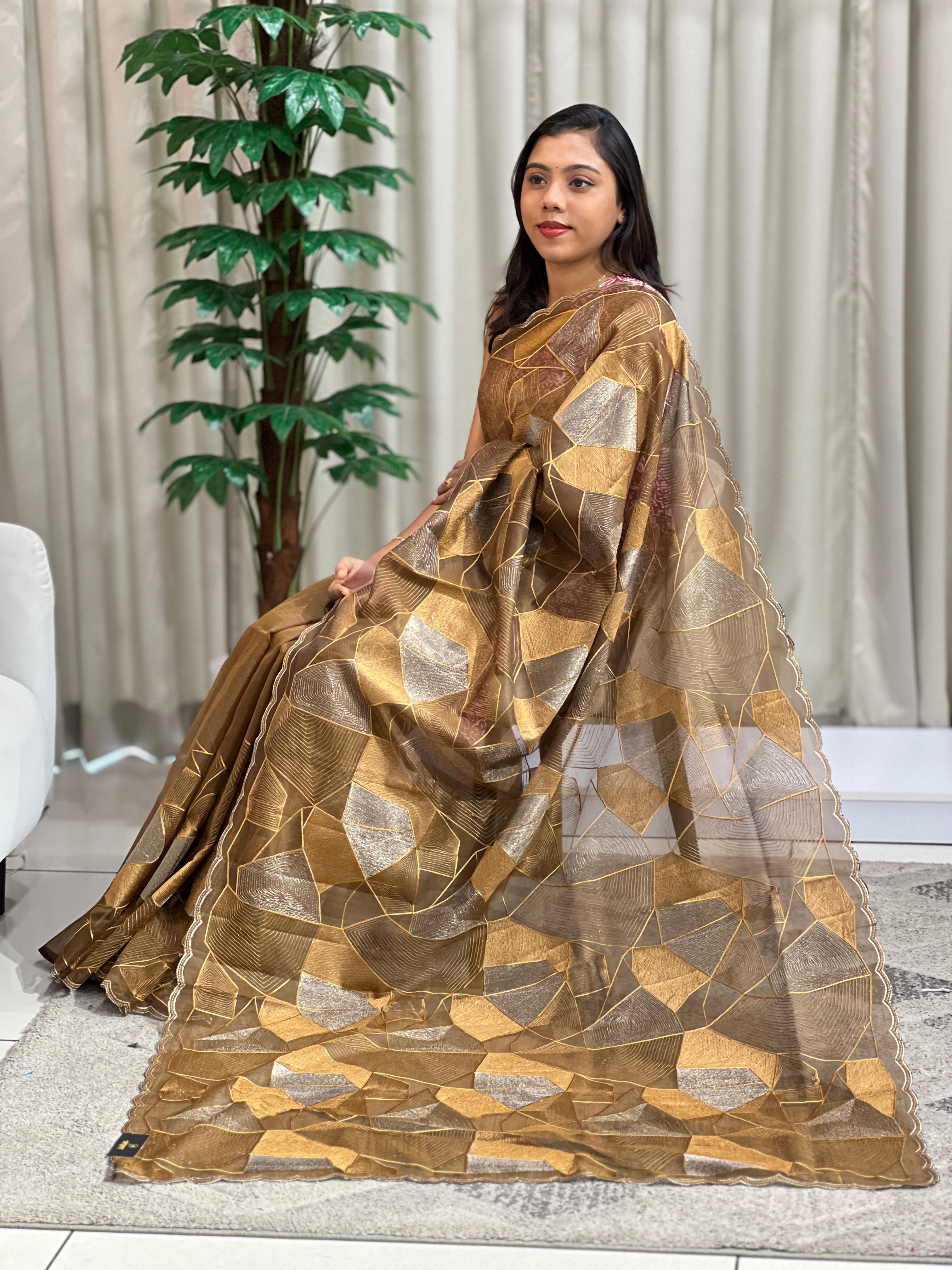 Floral Embroidered Organza Saree | ZSS155
