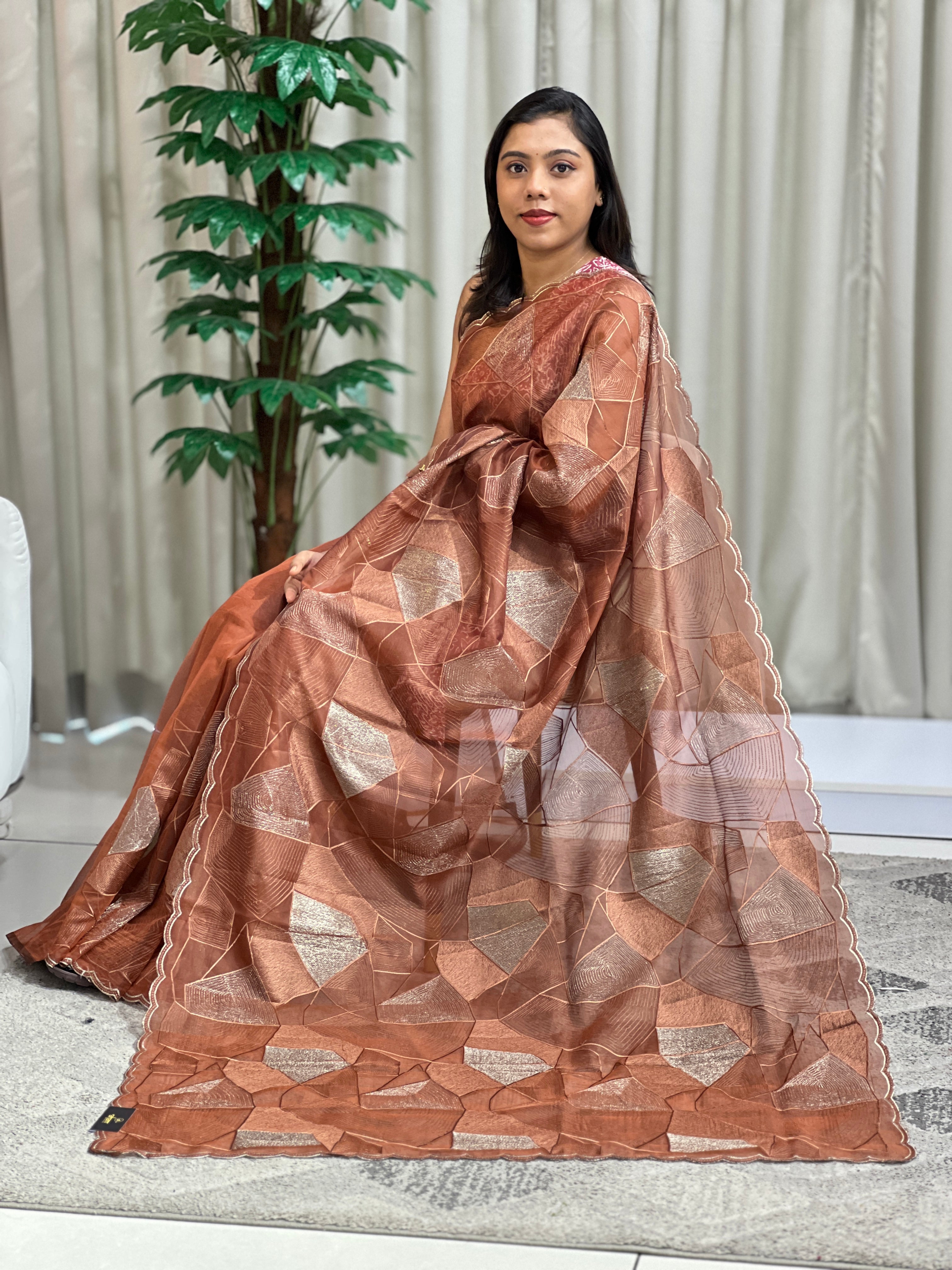 Floral Embroidered Organza Saree | ZSS148