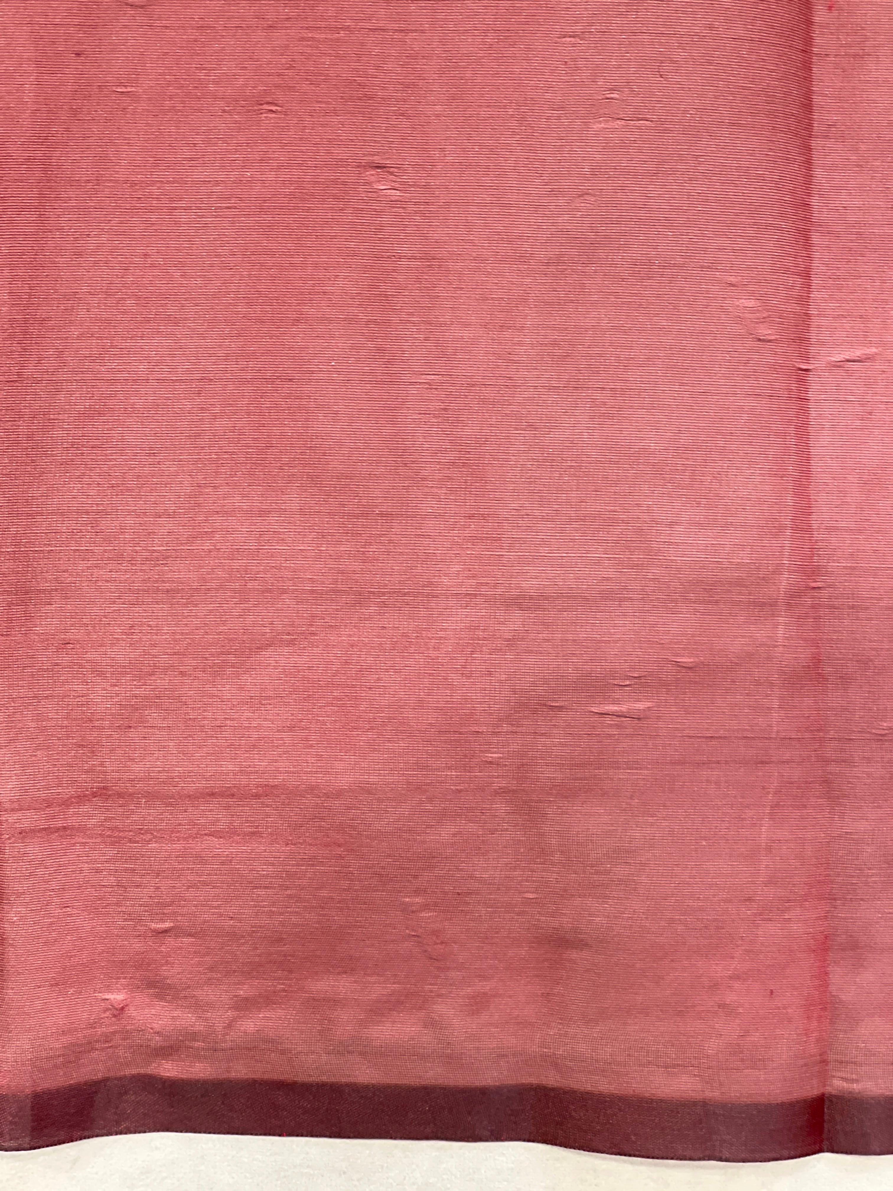 Floral Embroidered Organza Saree | ZSS145