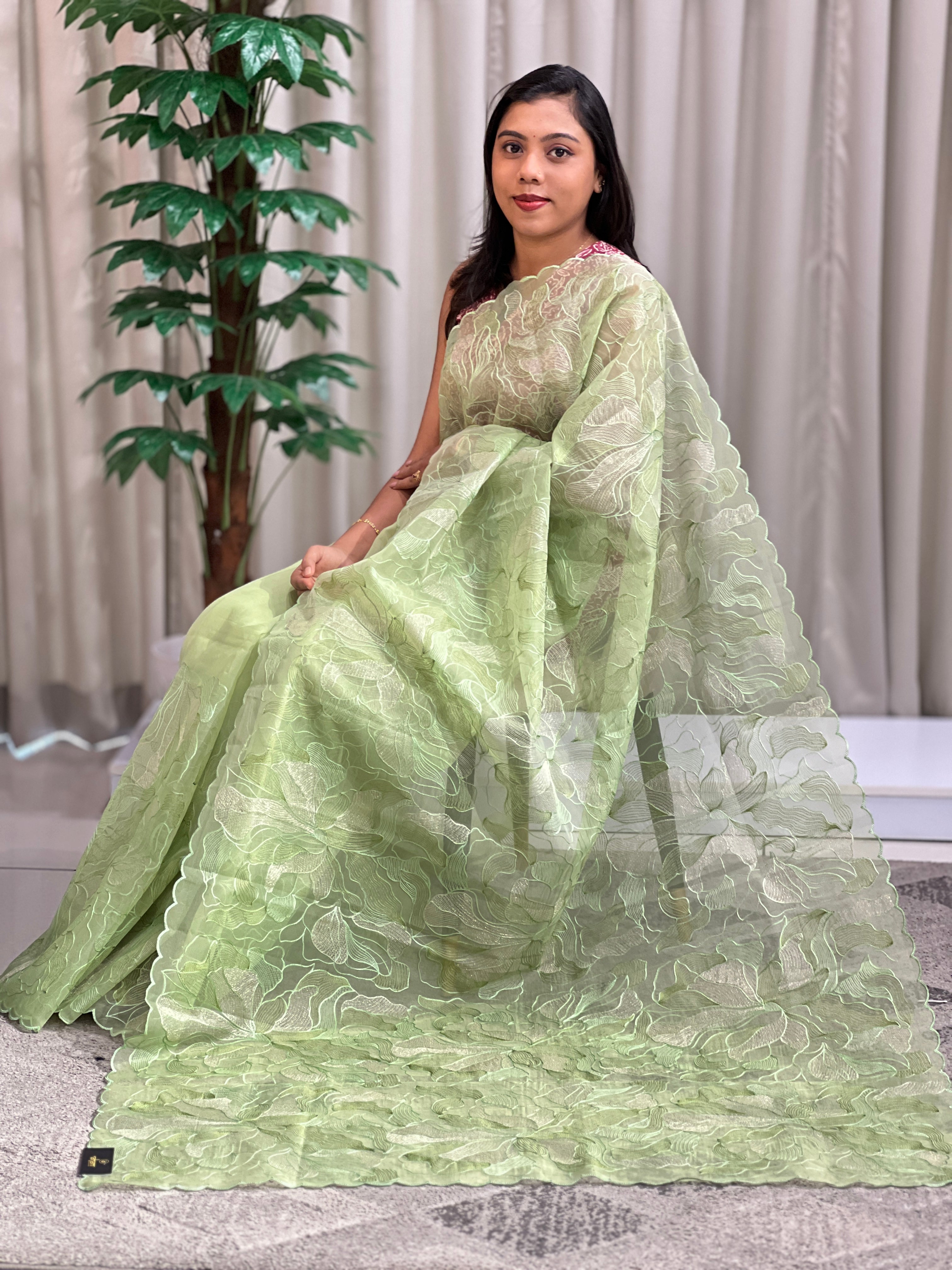 Floral Embroidered Organza Saree | ZSS158