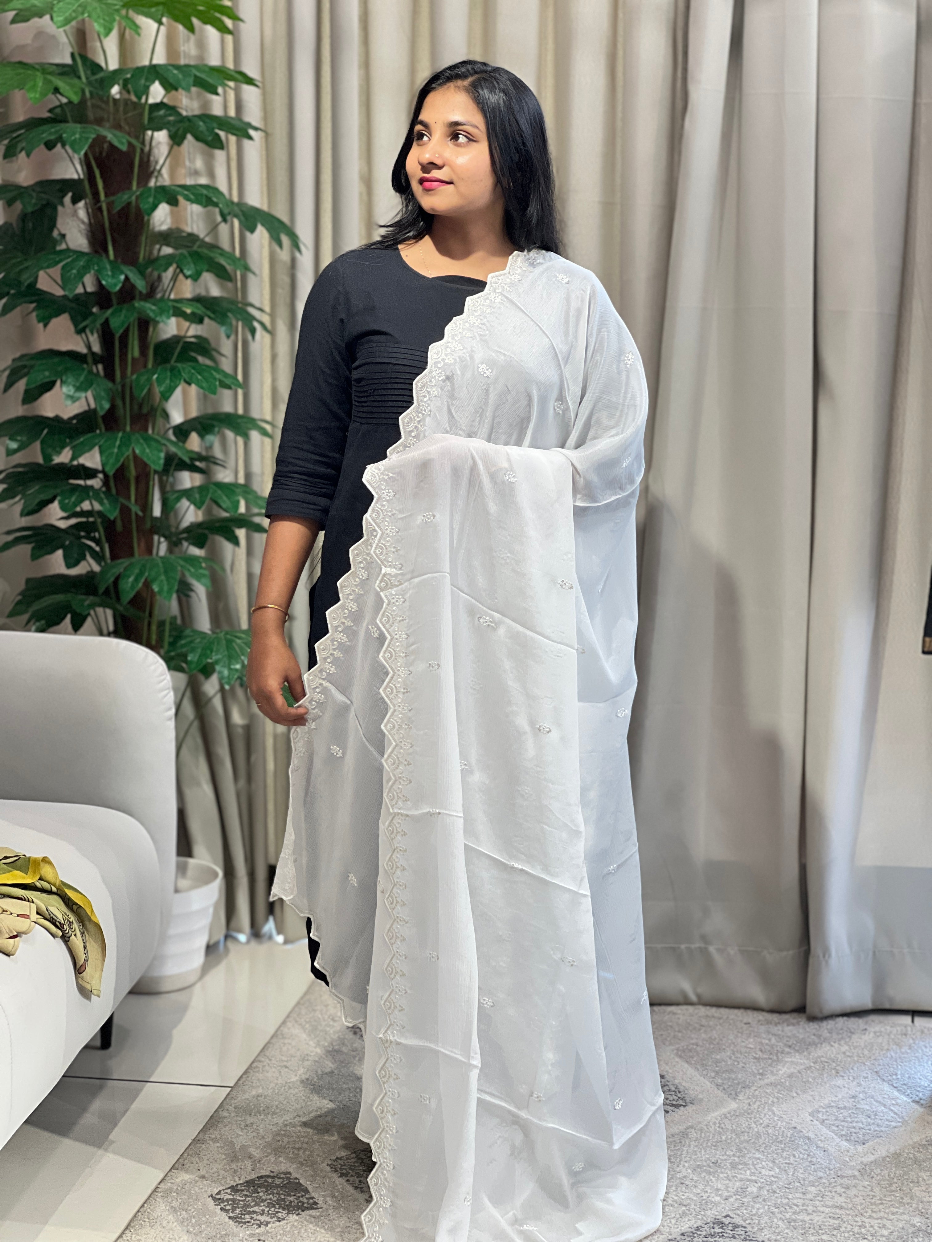 Machine Embroidery Detailed Chinon Dupatta | SNT104