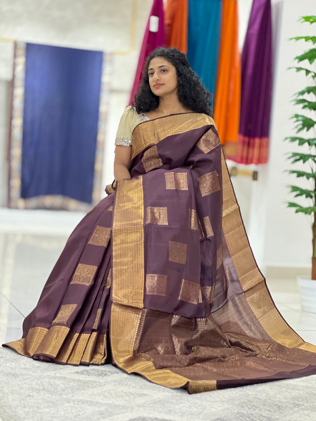 Zari Woven Pure Silk Kanchipuram Saree | TT224