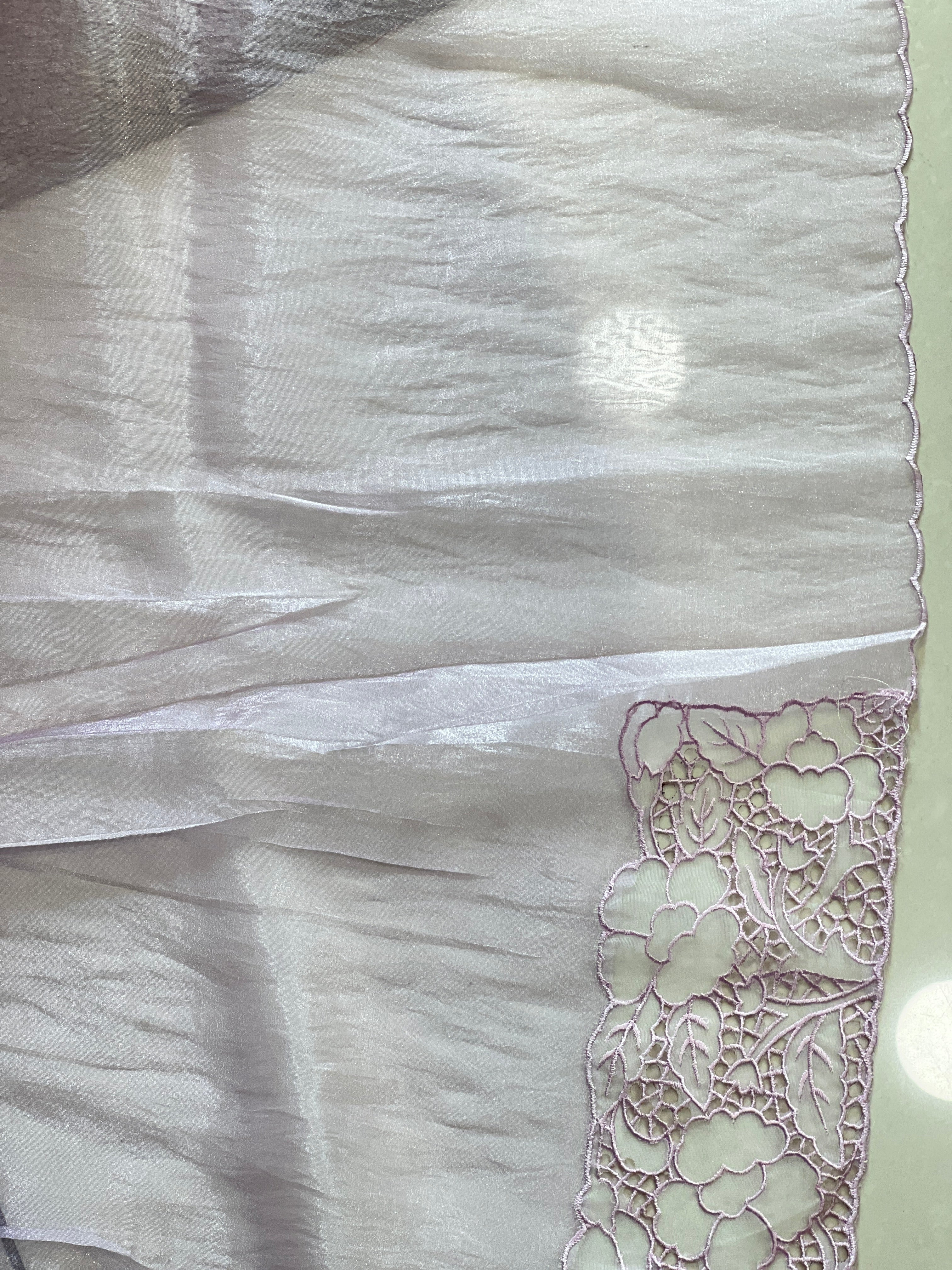 Cutwork With Floral Detailed Glass Organza Saree | BLD459