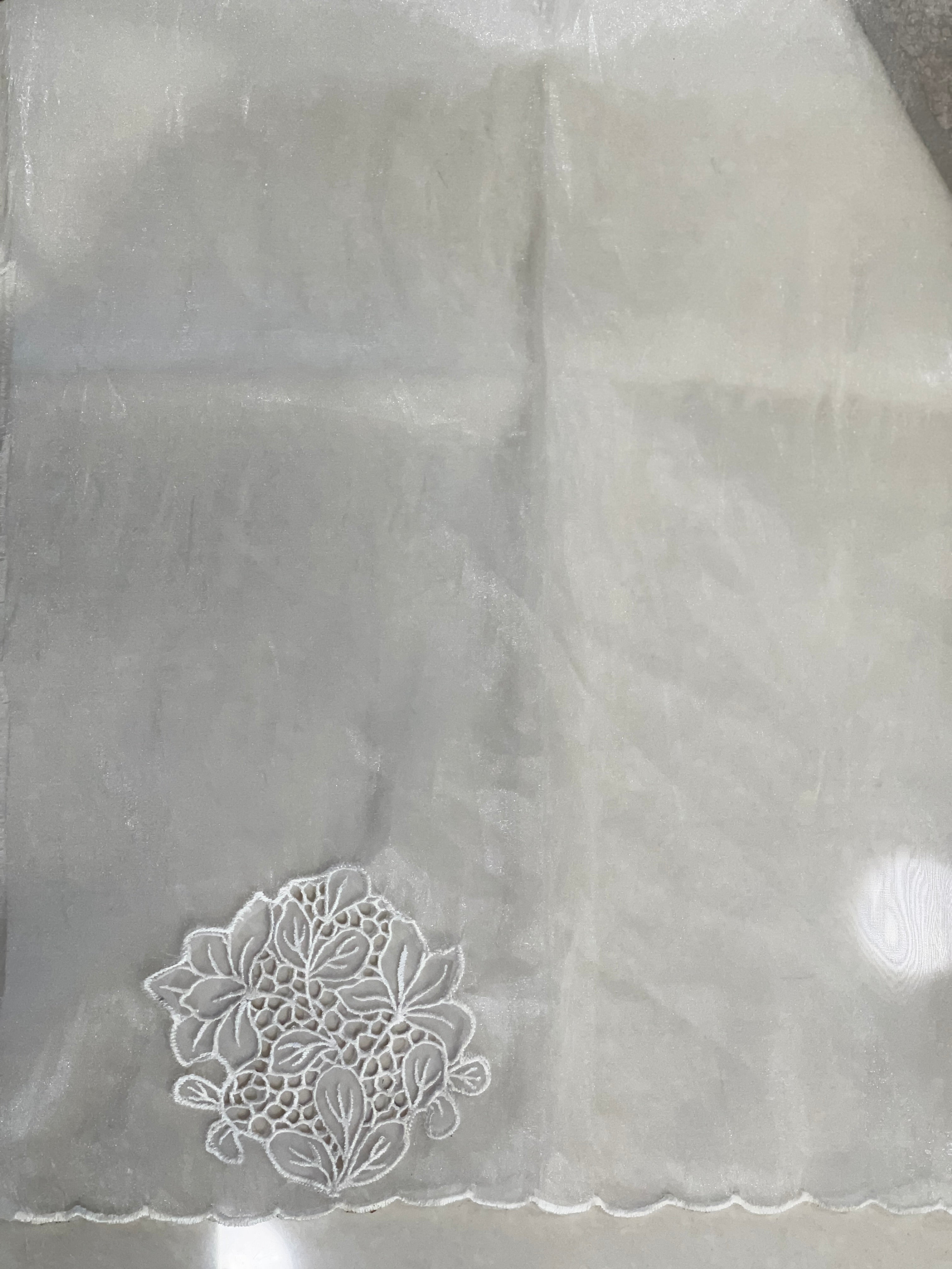 Machine Cutwork With Floral Embroidered Shimmer Organza Saree | BLD495
