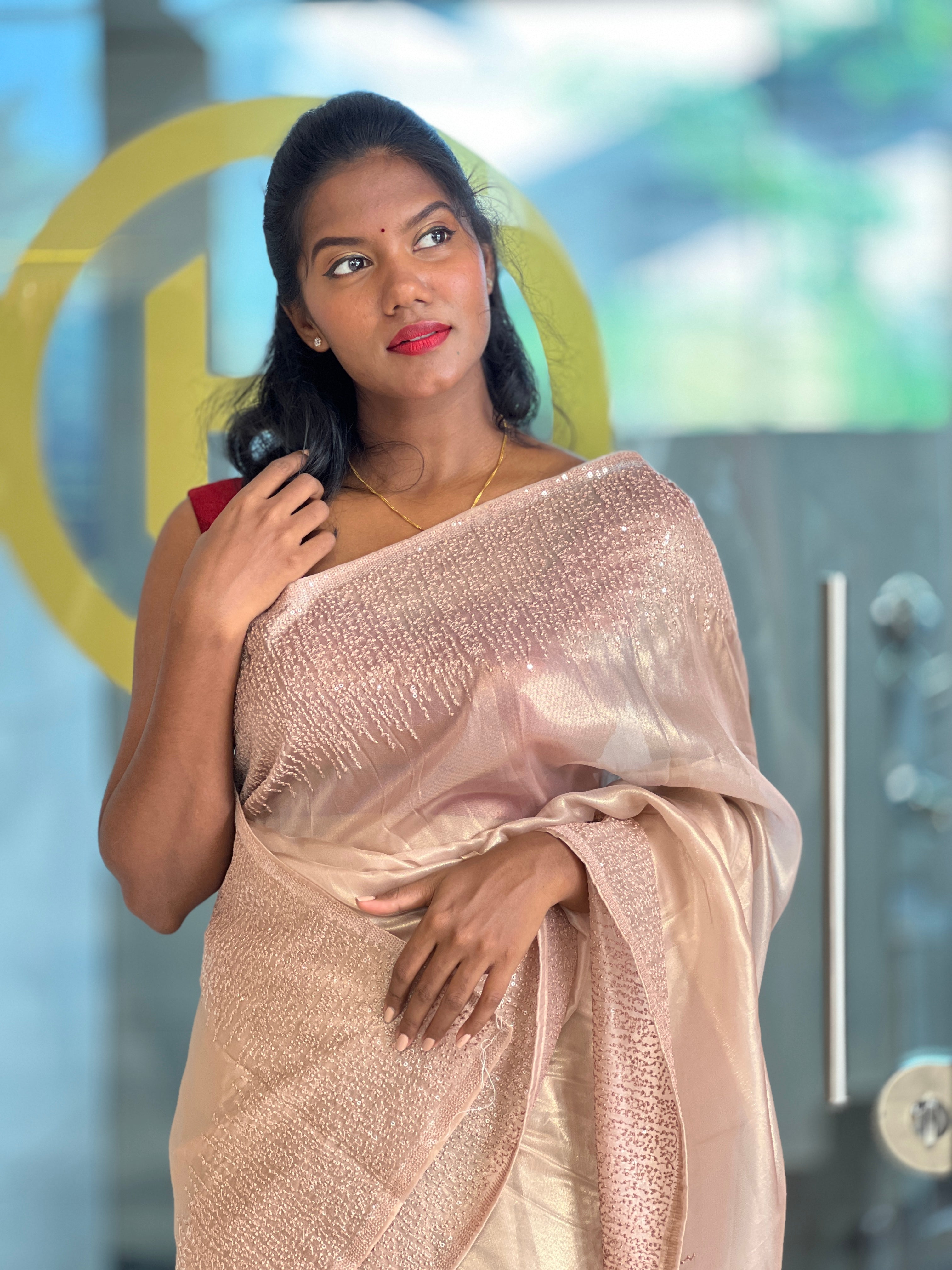 Point Embroidery  Tissue  saree | SBP1020