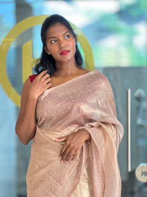 Point Embroidery  Tissue  saree | SBP1020