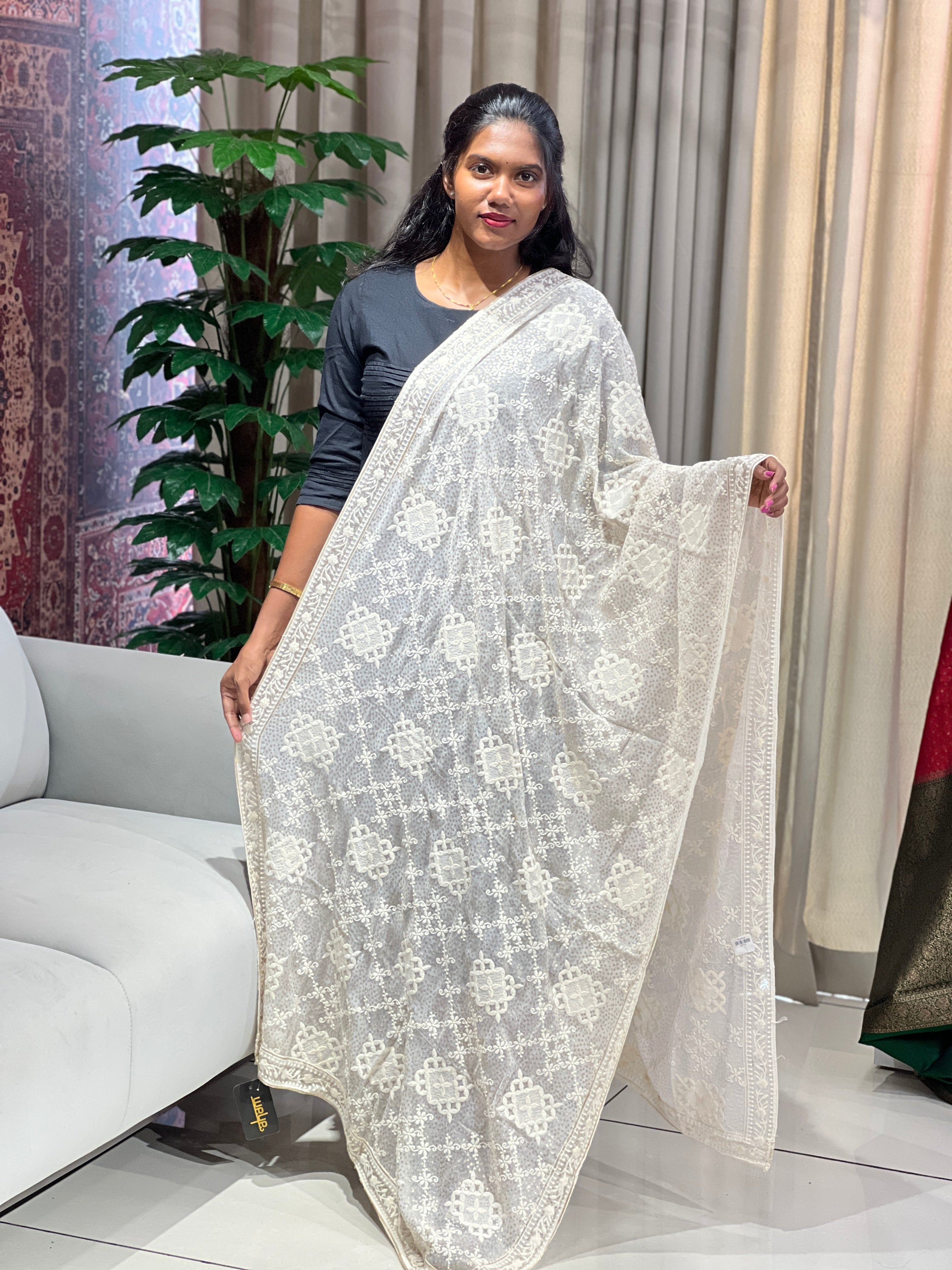 Embroidery & Sequins Detailed Georgette Dupatta | DNT141