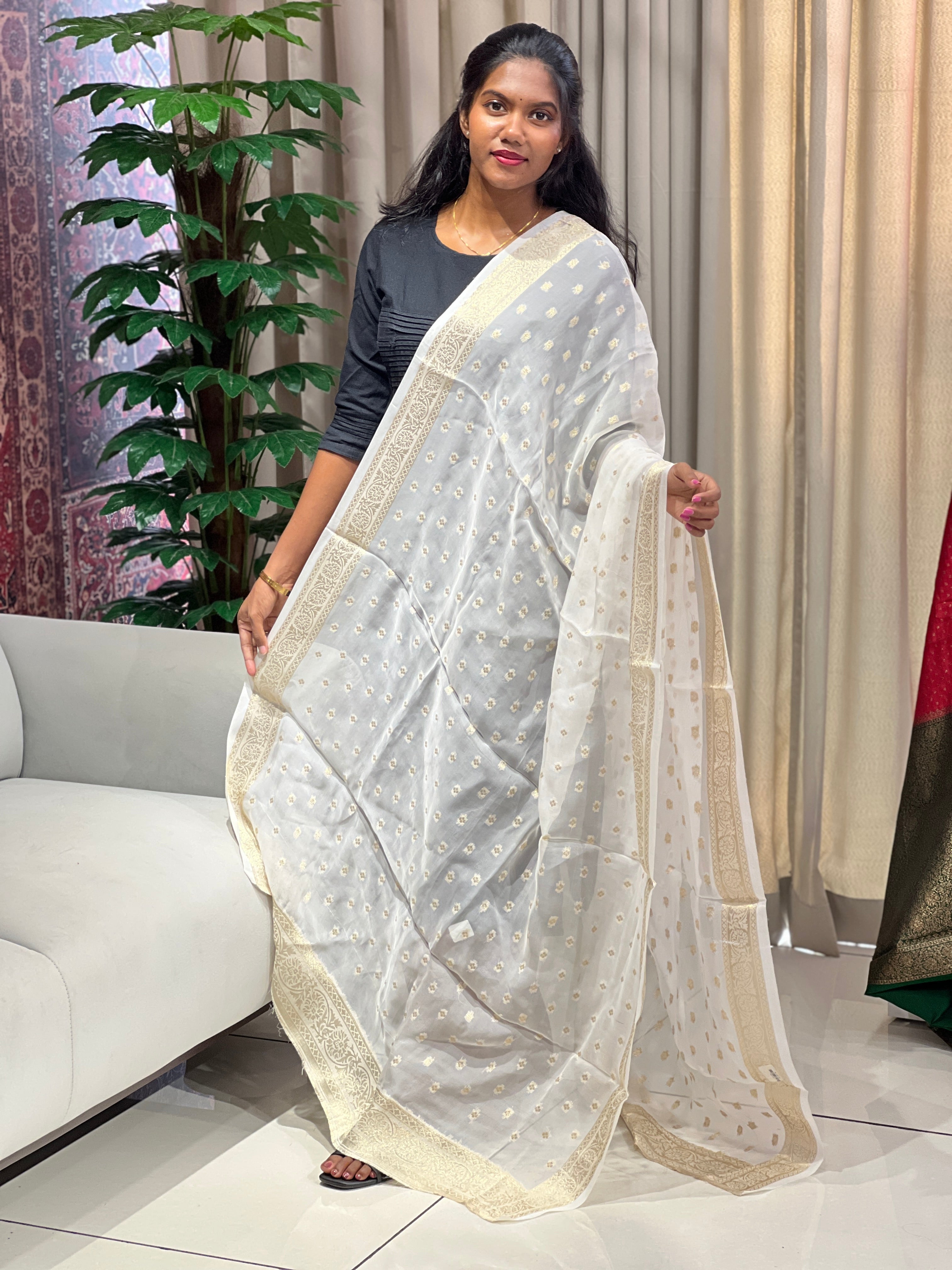 Zari Butta Detailed Organza Dupatta | DNT137