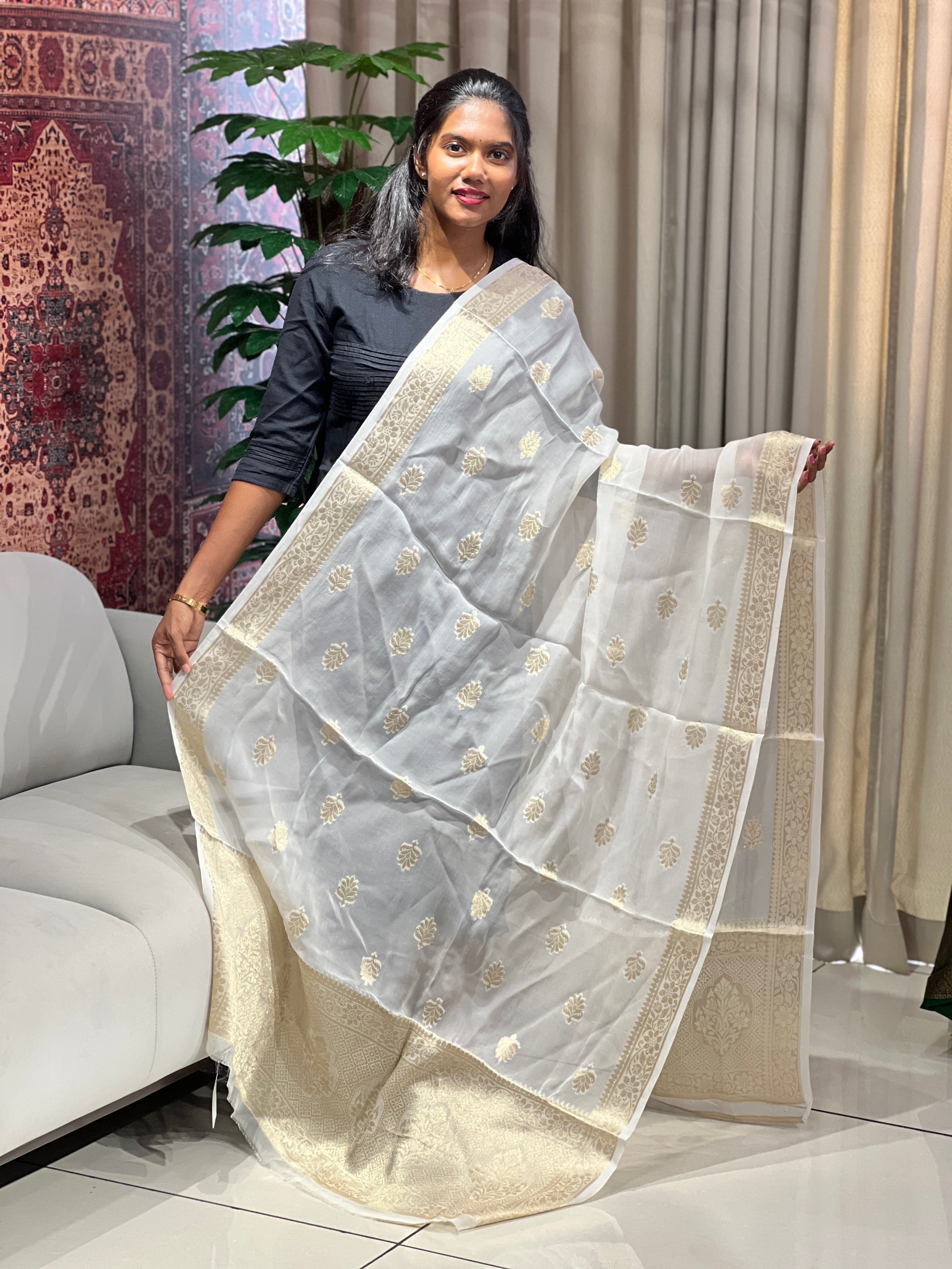 Zari Woven Organza Dupatta | DNT134