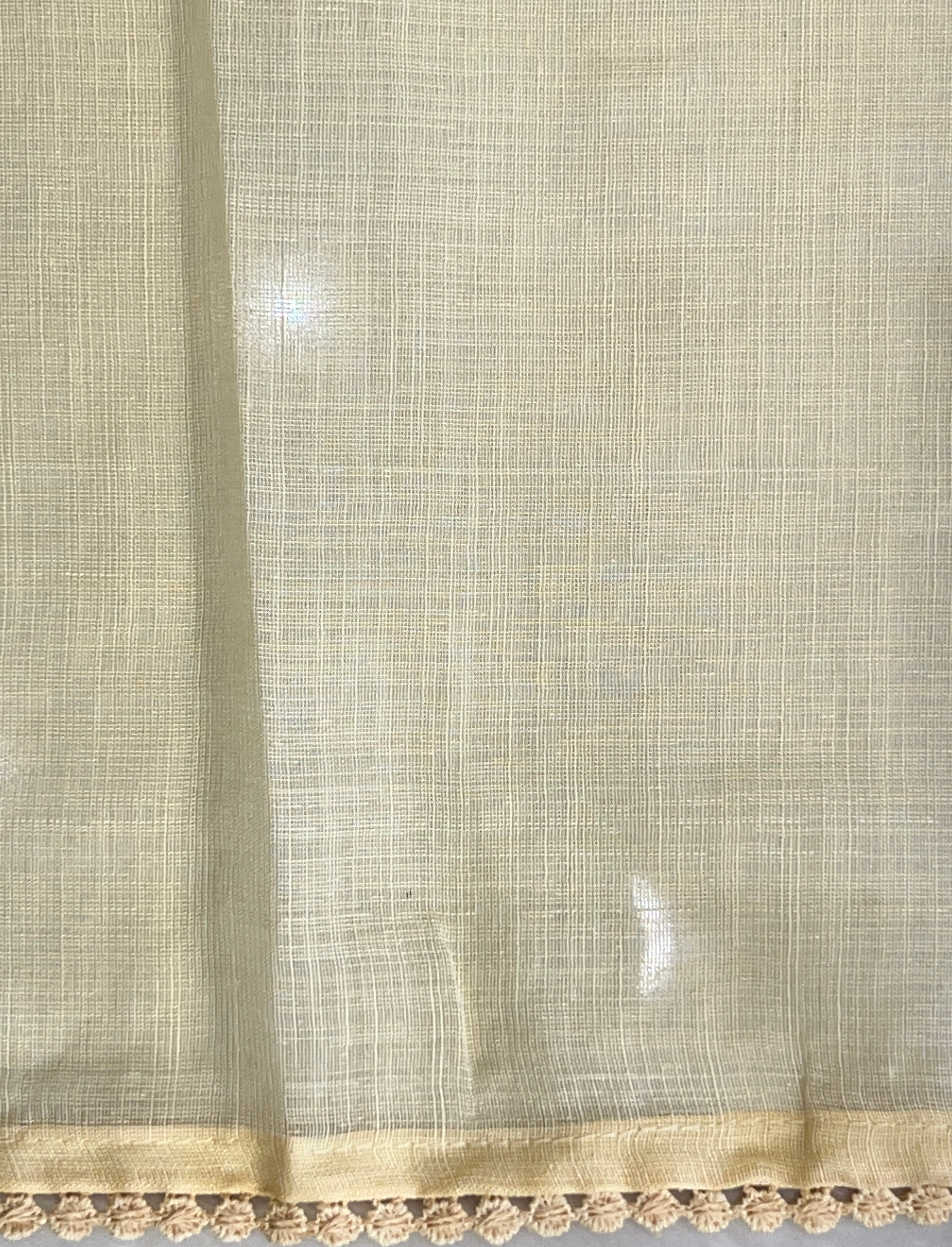 Machine Embroidery Detailed Semi Linen Saree | BLD2079