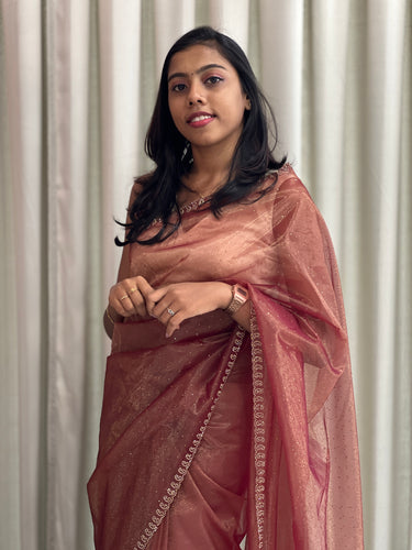 Stone Worked Tissue Weaved Organza Saree | SBP440