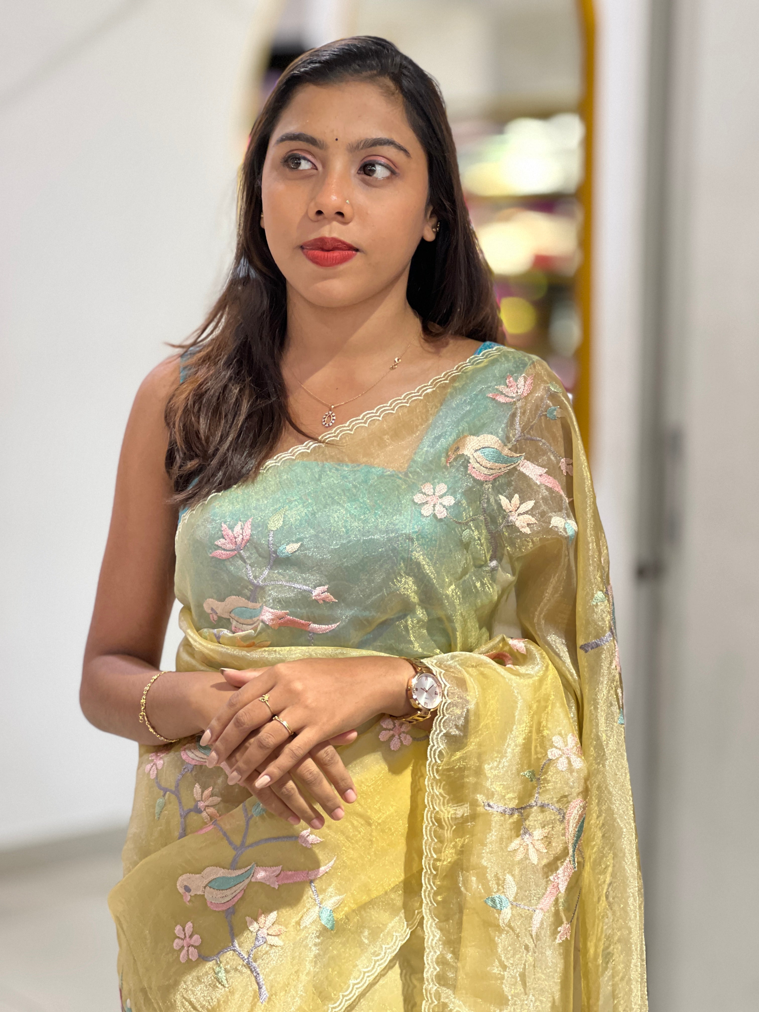 Machine Embroidery Detailed Shimmer Organza Saree | BLD1529