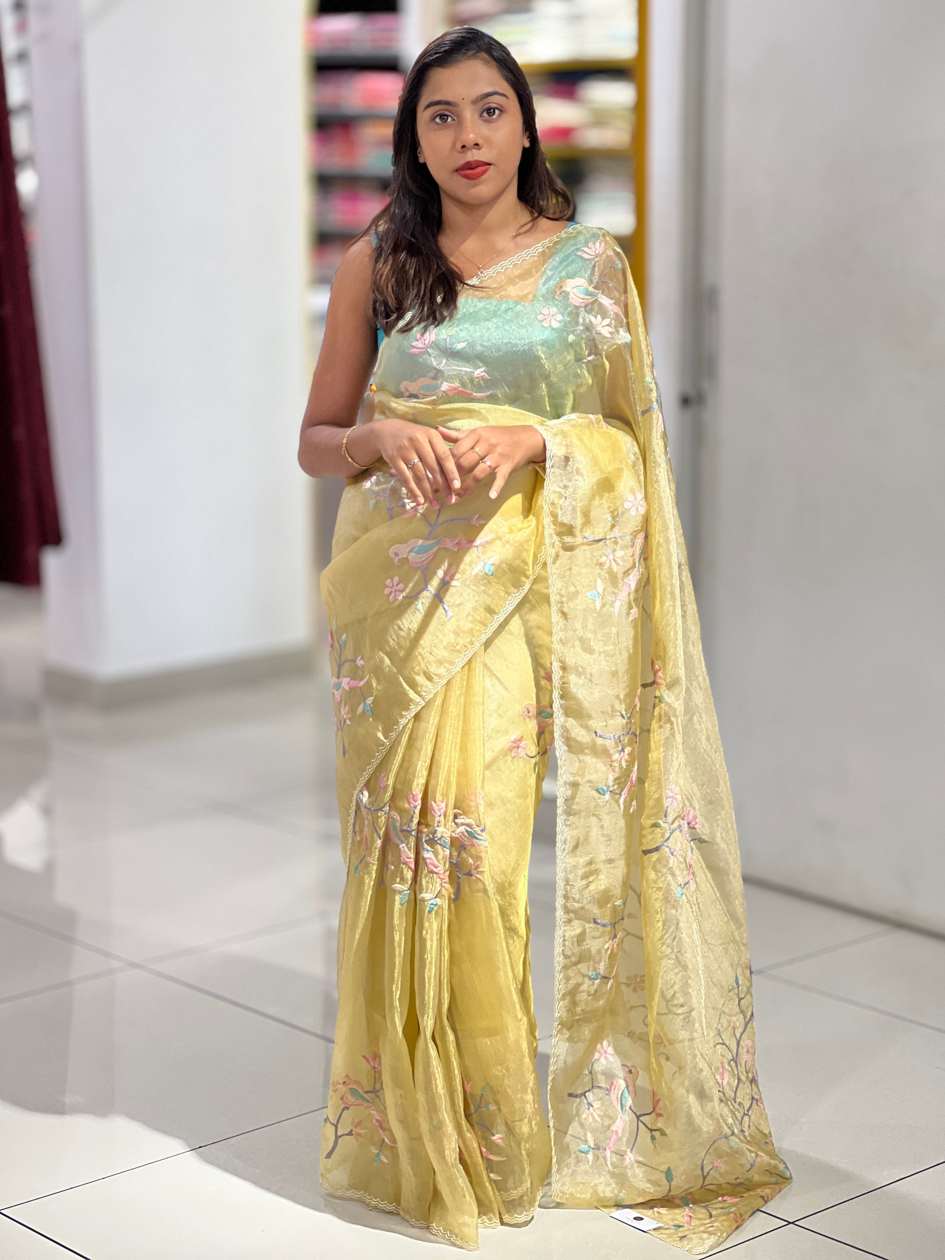 Machine Embroidery Detailed Shimmer Organza Saree | BLD1529