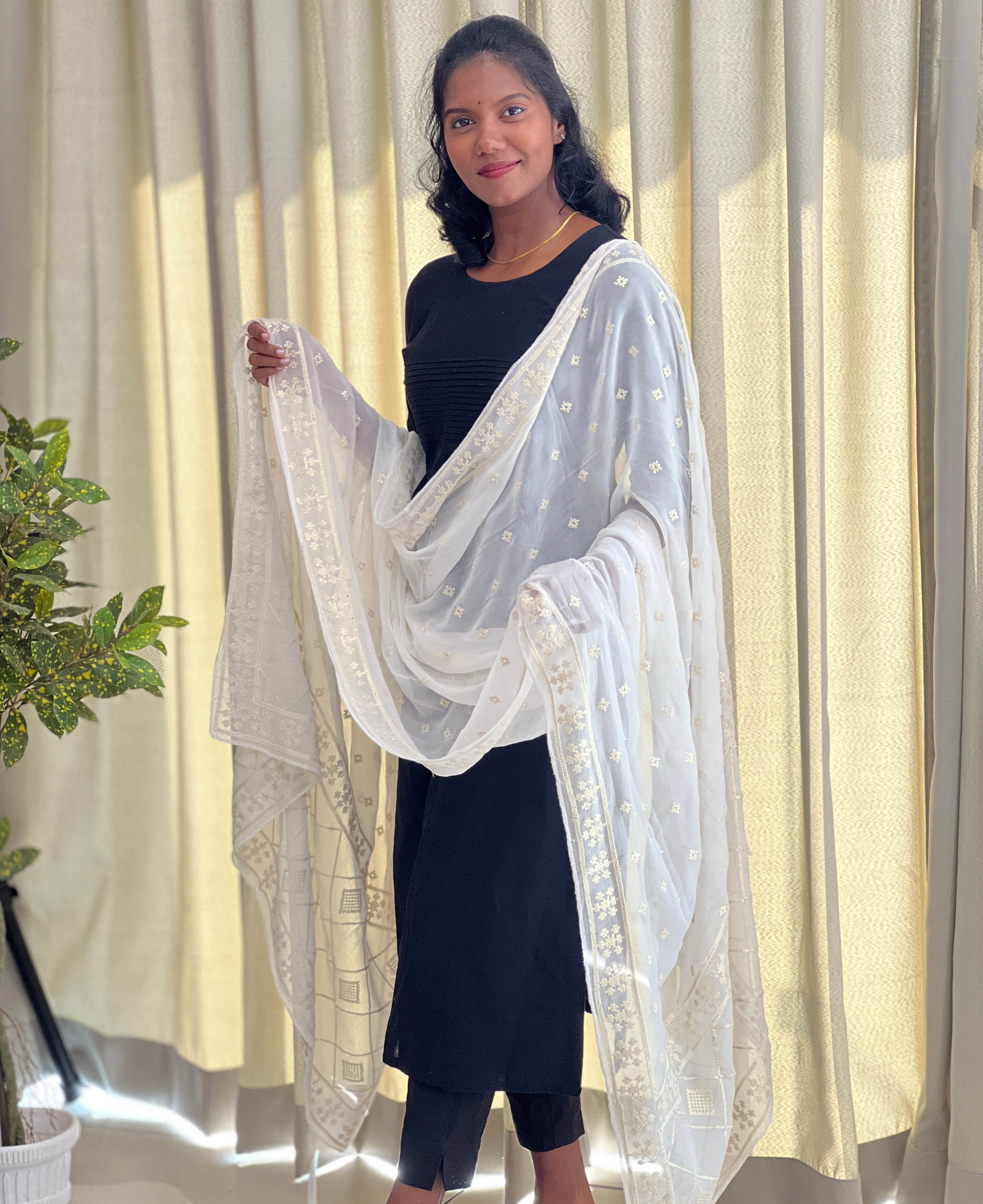 Embroidery Patterned Georgette Dupatta | AH662