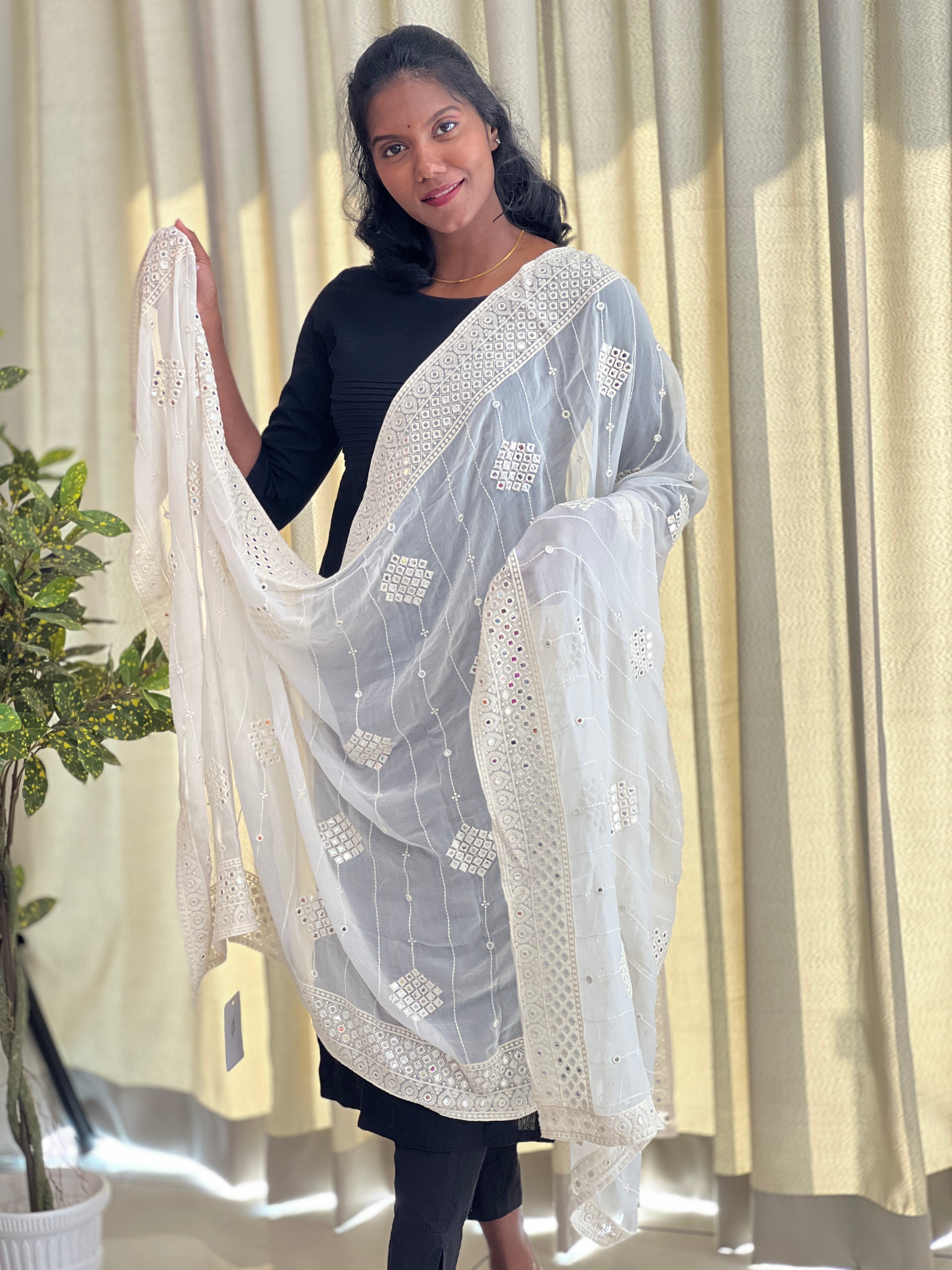 Embroidery Patterned Georgette Dupatta | AH662