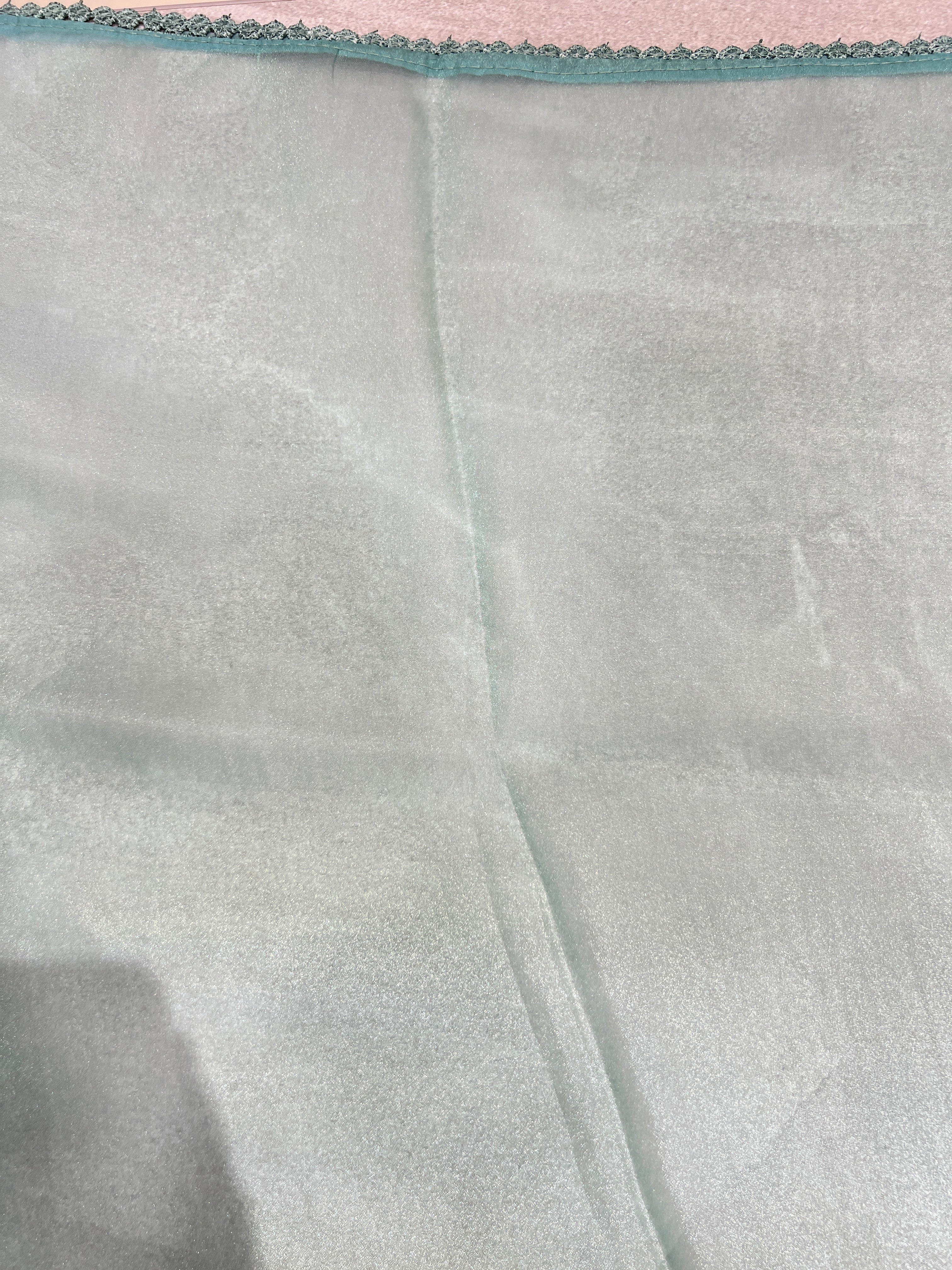 Floral Cross Stitch Embroidered Shimmer Organza Saree | BLD1493