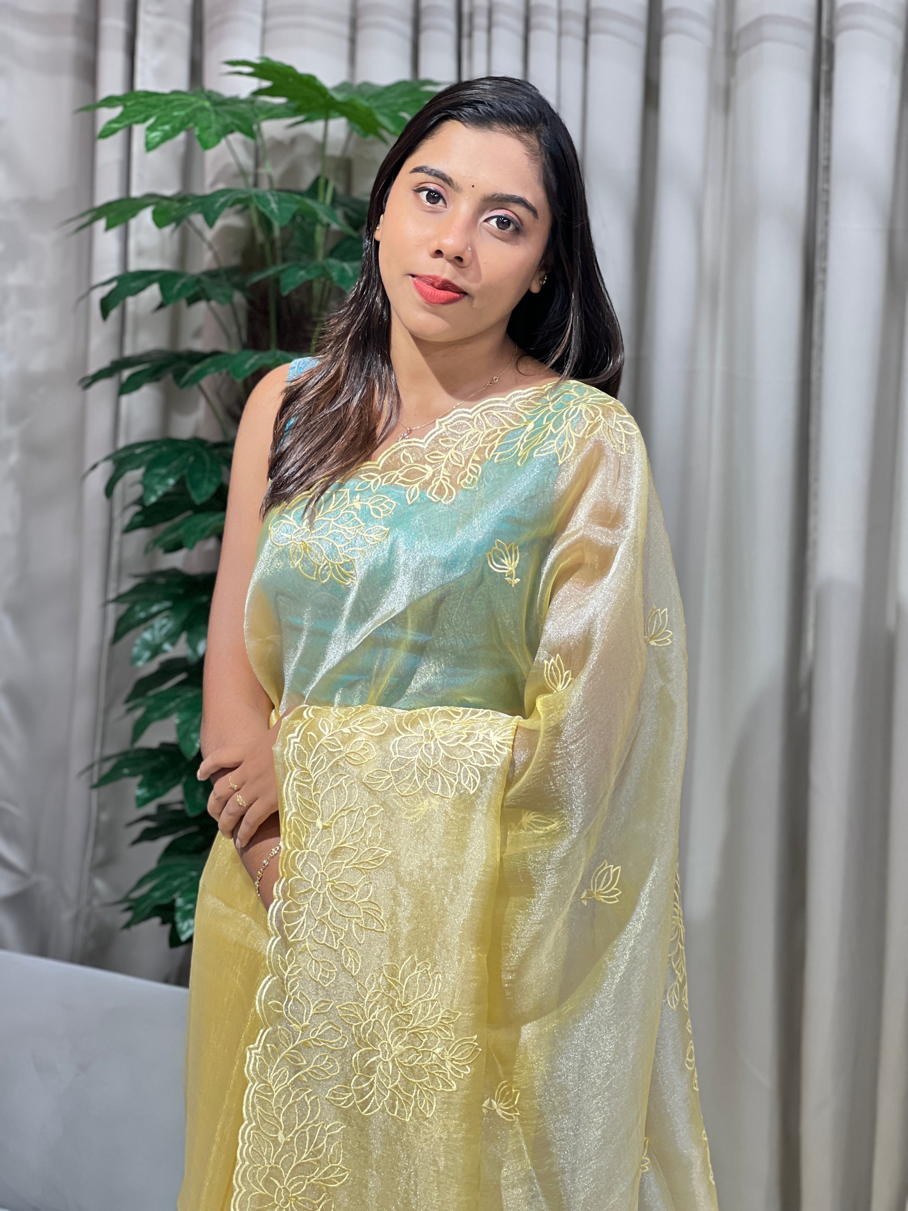 Floral Machine Embroidery Detailed Shimmer Organza Saree | BLD1521