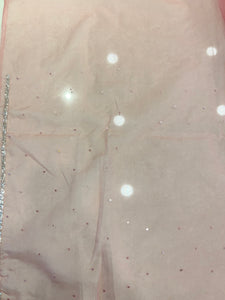 Cut Beads & Sequence Worked Organza Saree | SBP961