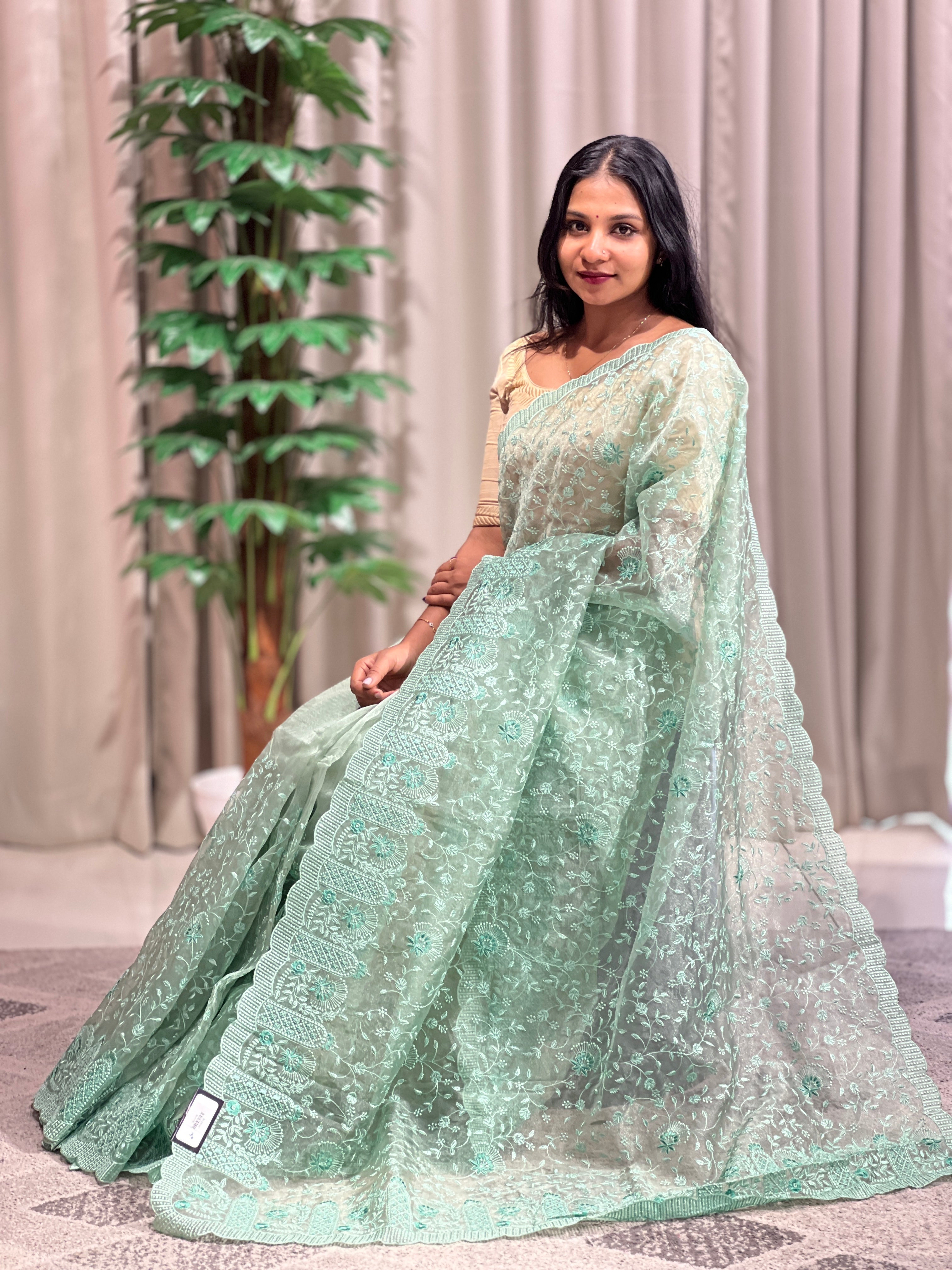 Floral Jaal Embroidery Tissue Organza Saree | BLD1076