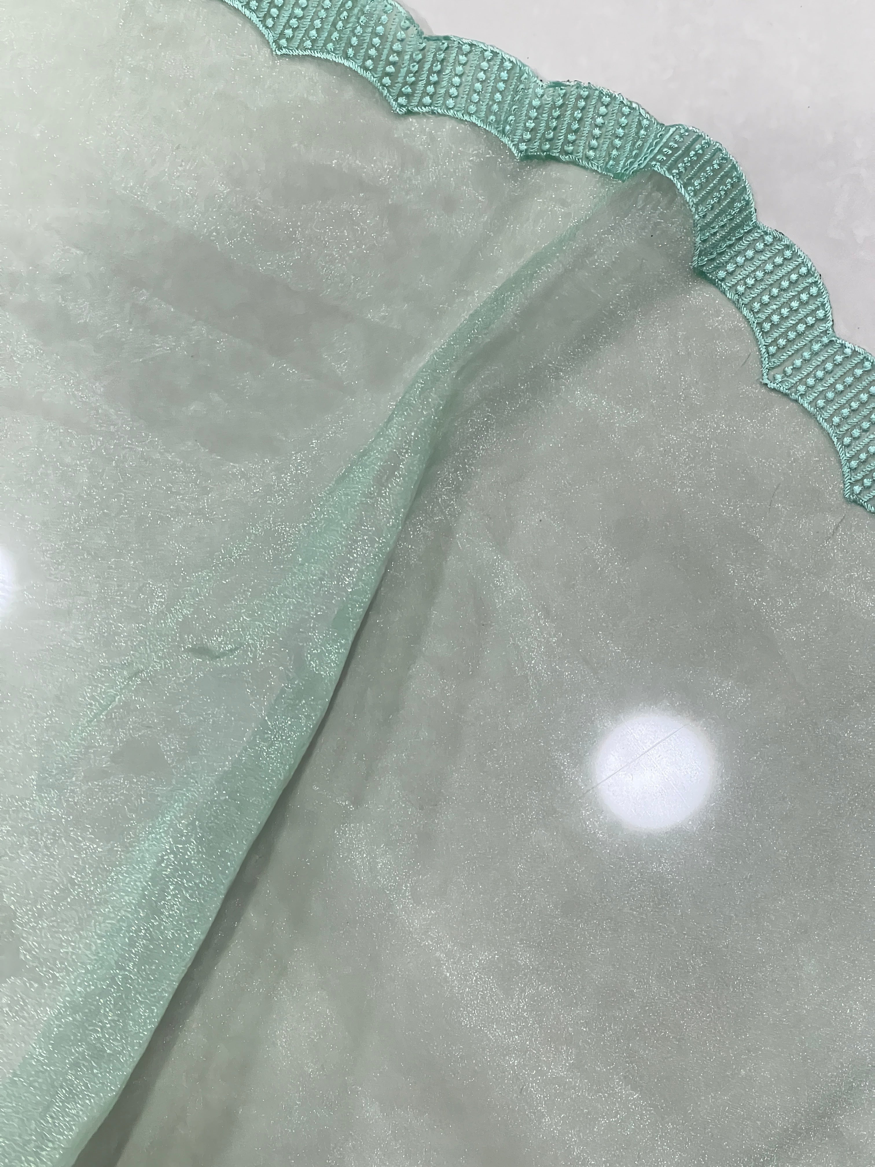 Floral Jaal Embroidery Tissue Organza Saree | BLD1076