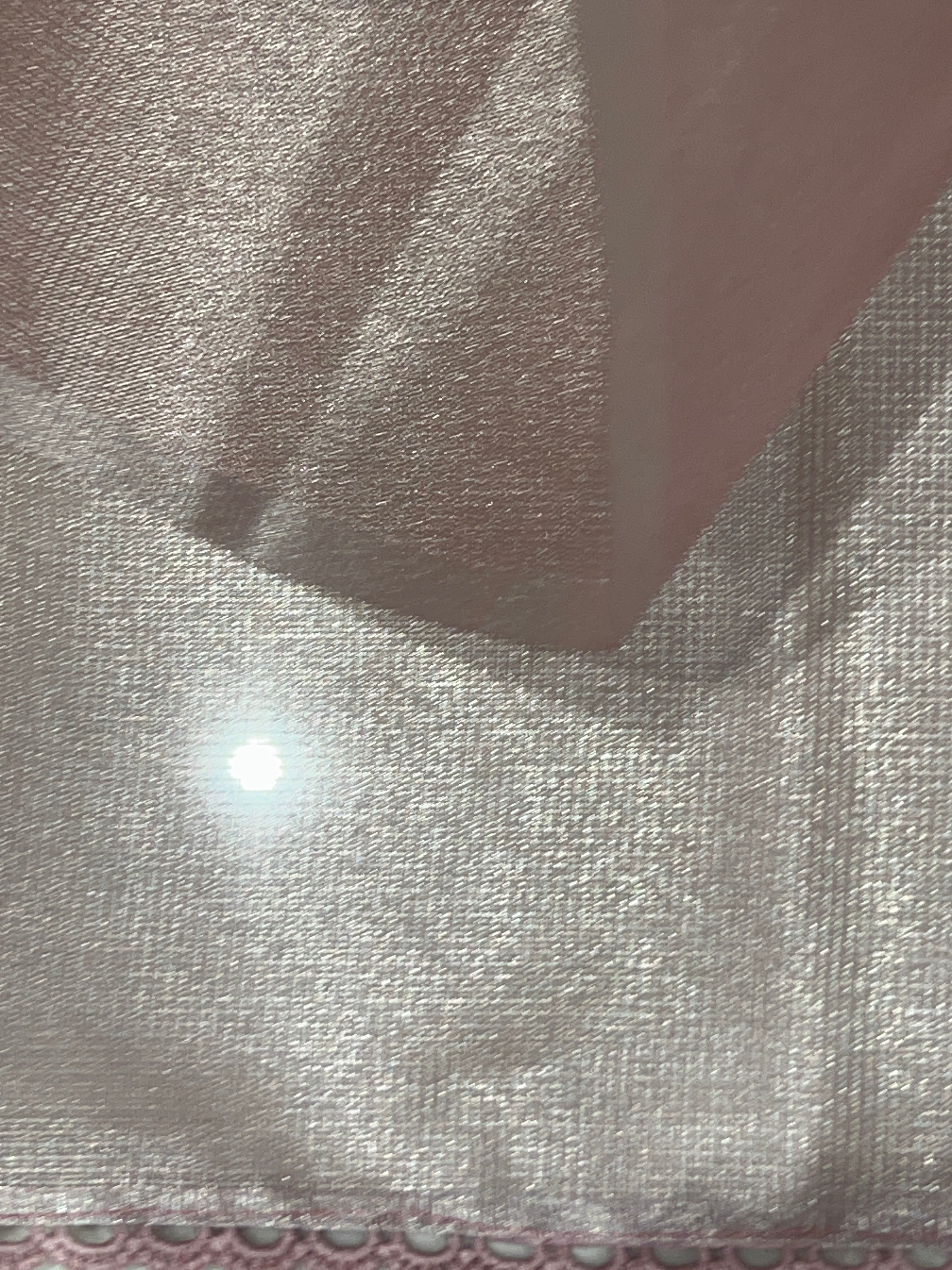 Floral Embroidery Detailed Tissue Saree | PKS152