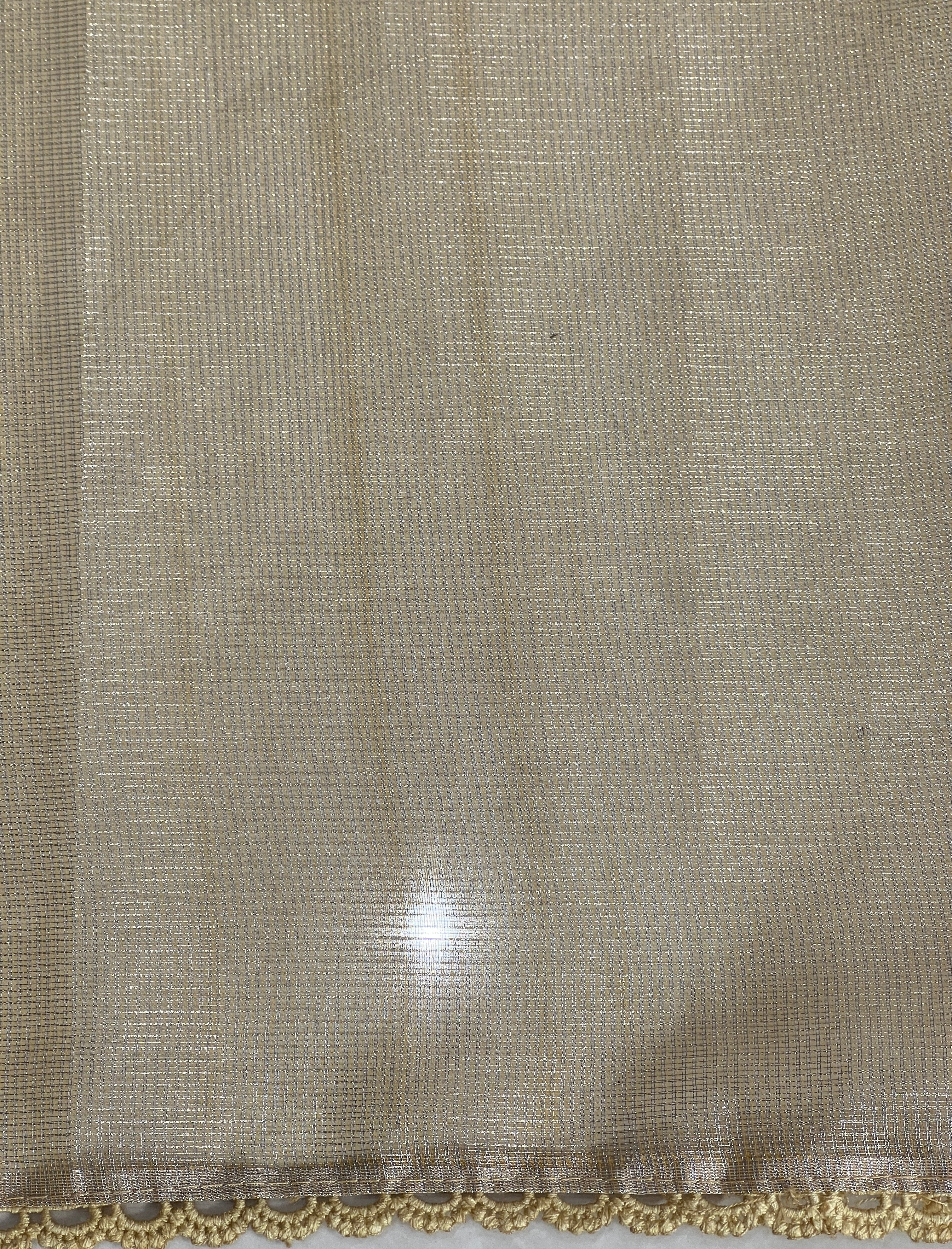 Floral Embroidery Detailed Tissue Saree | PKS147