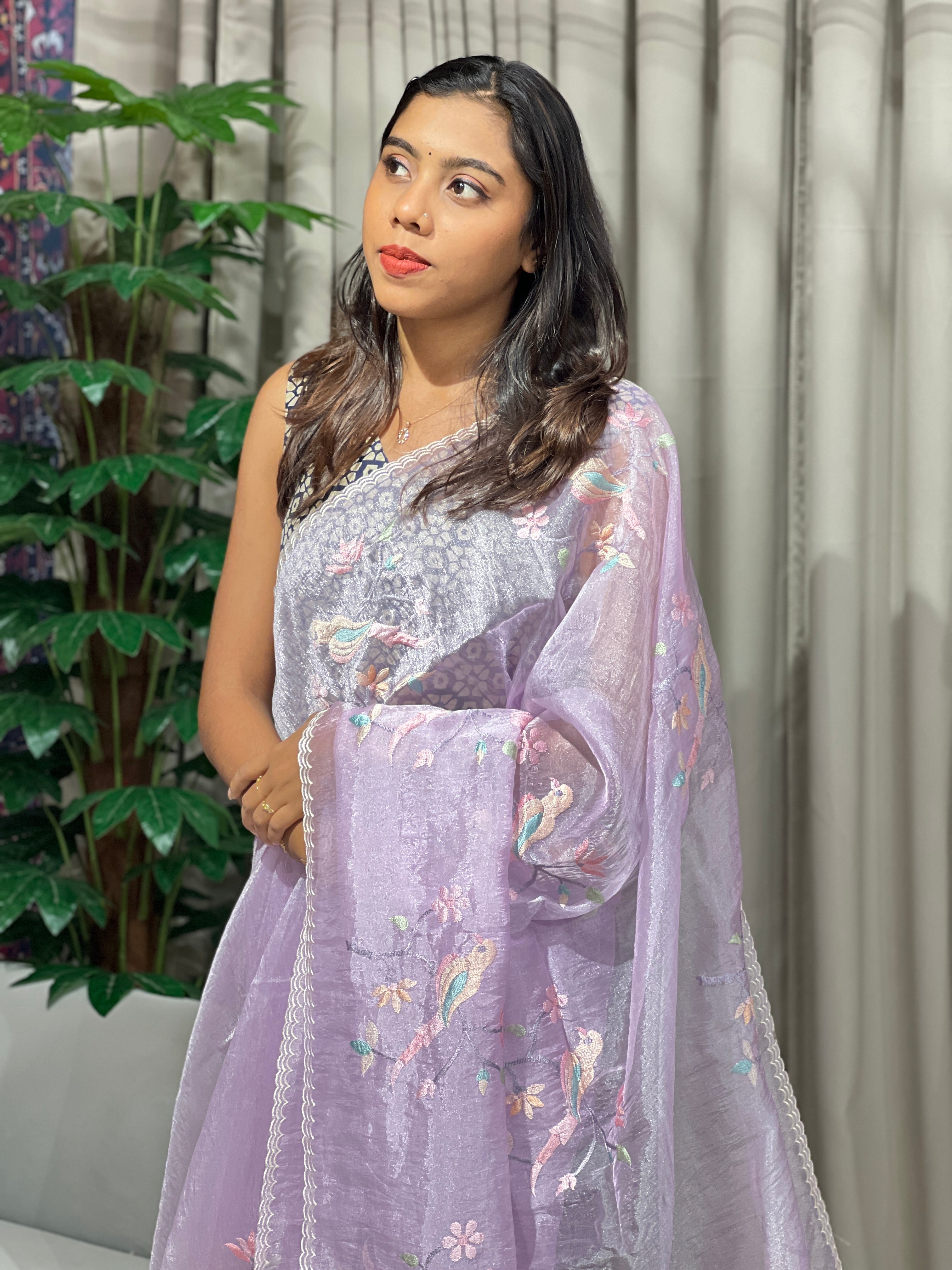 Machine Embroidery Detailed Shimmer Organza Saree | BLD1527