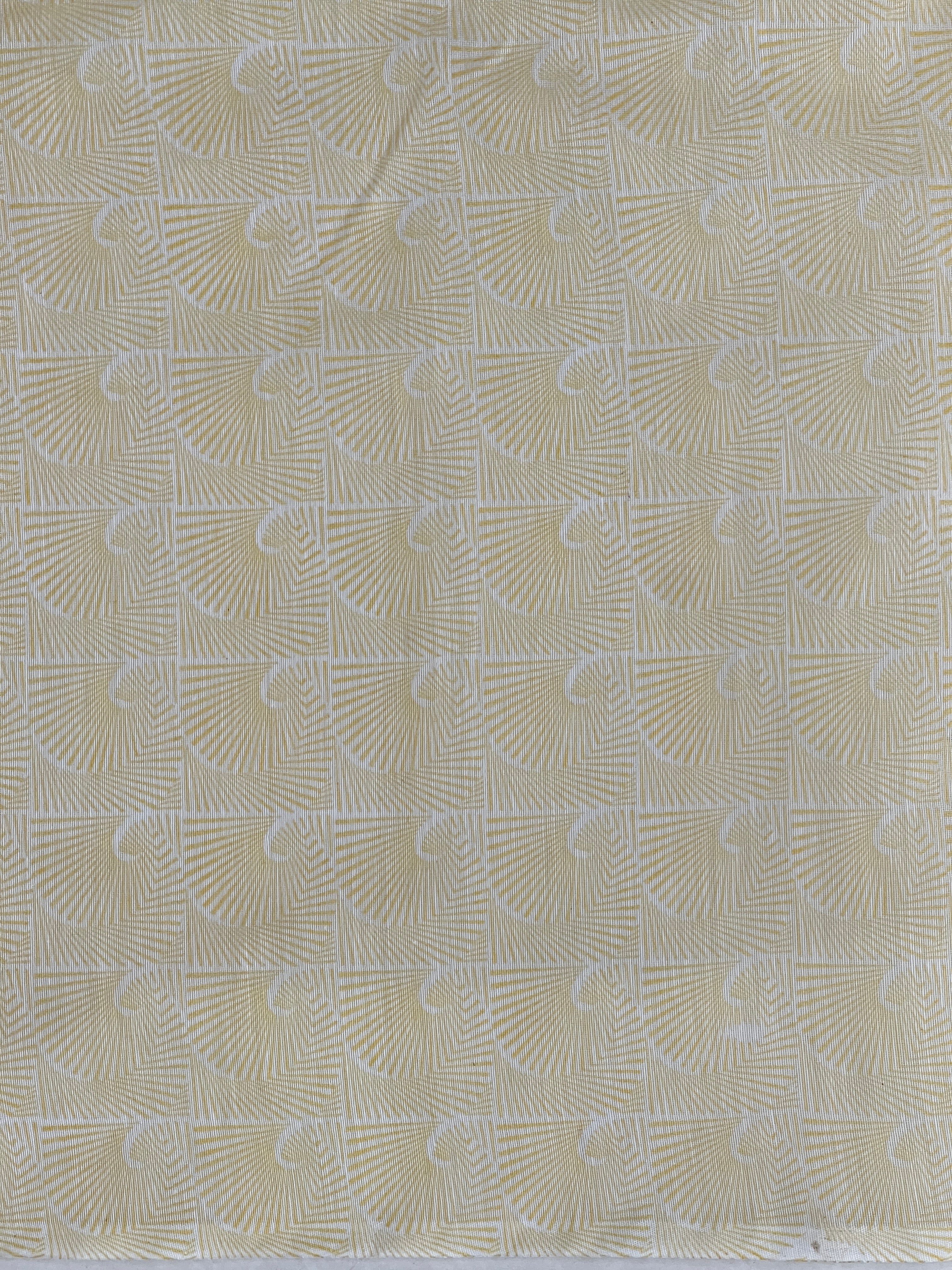 Floral Machine Embroidery Detailed Organza Saree | BLD1561