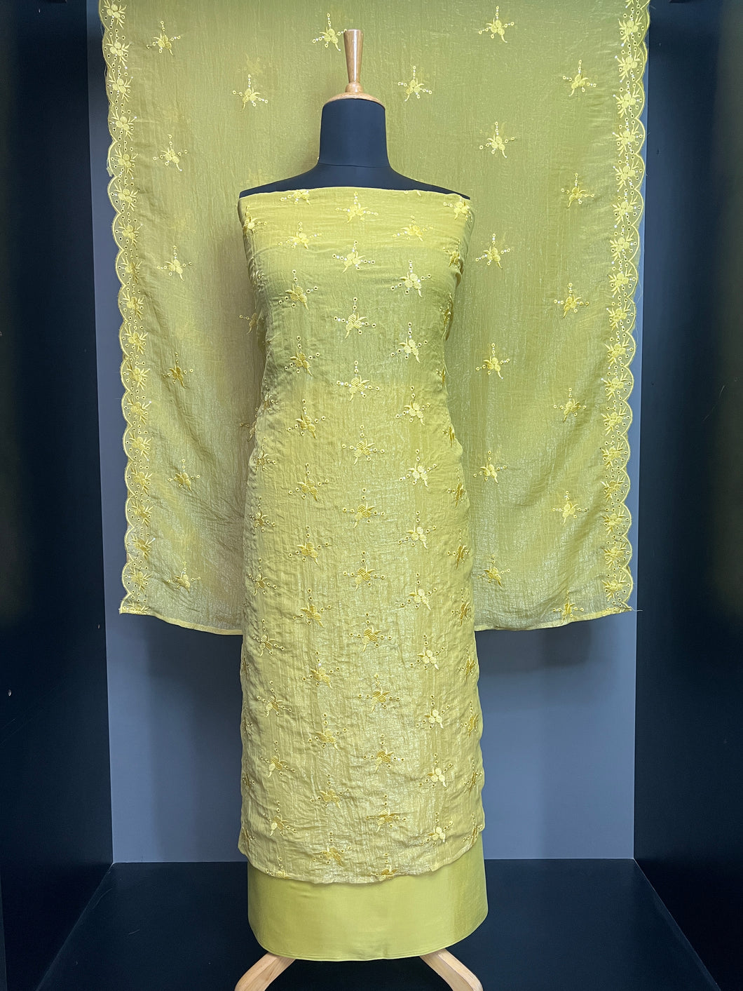 Machine Embroidery Detailed Shimmer Organza Salwar Set | SW2157