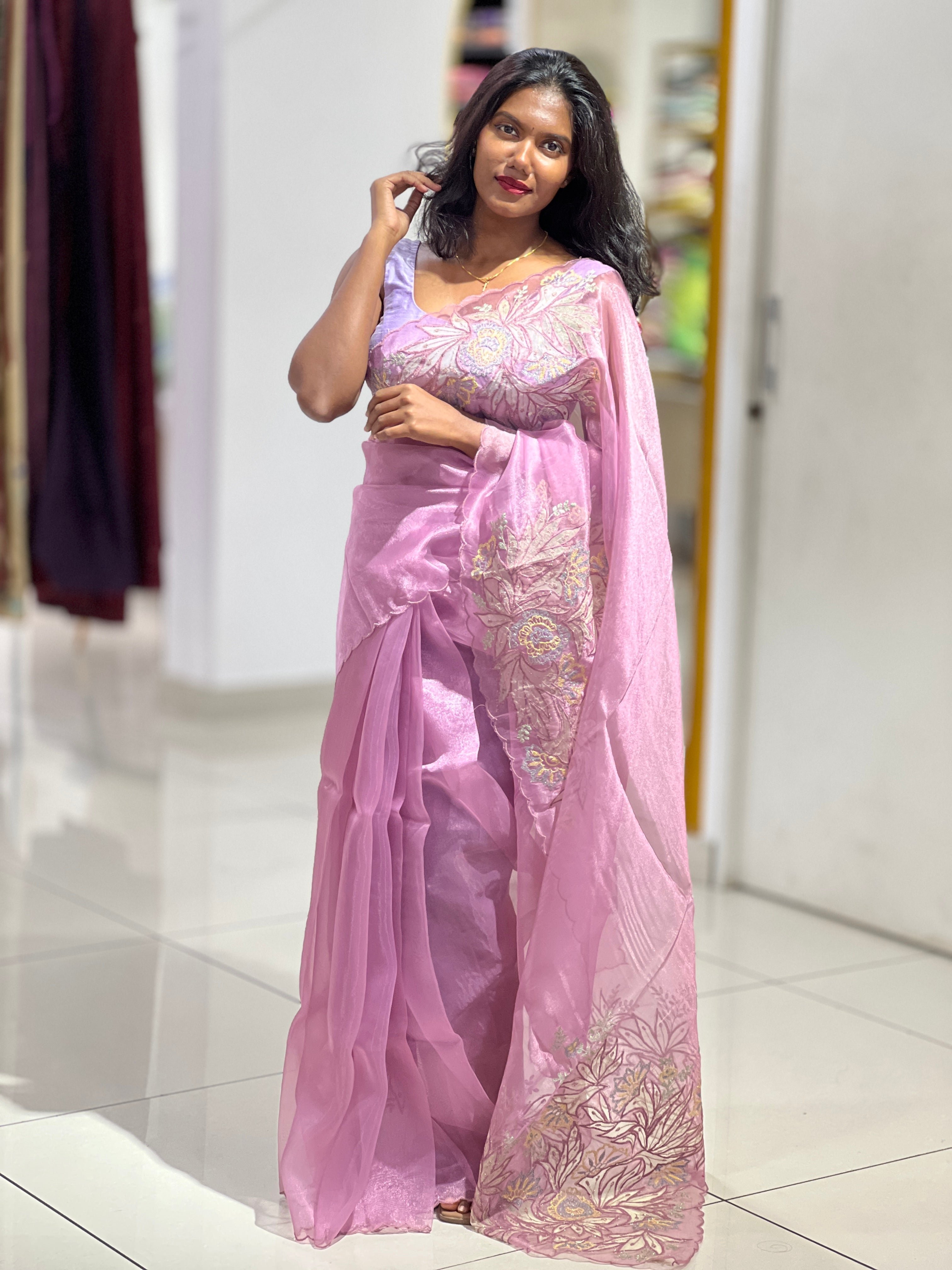 Applique Detailed Shimmer Organza Saree | BLD1577