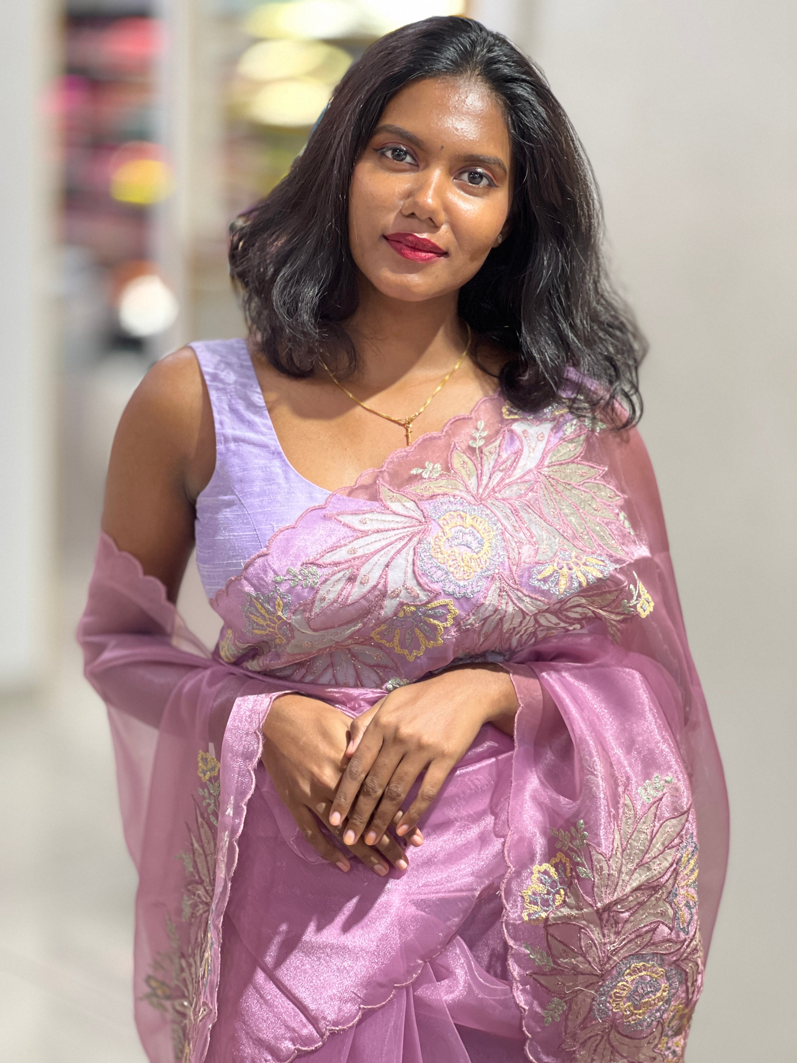 Applique Detailed Shimmer Organza Saree | BLD1577