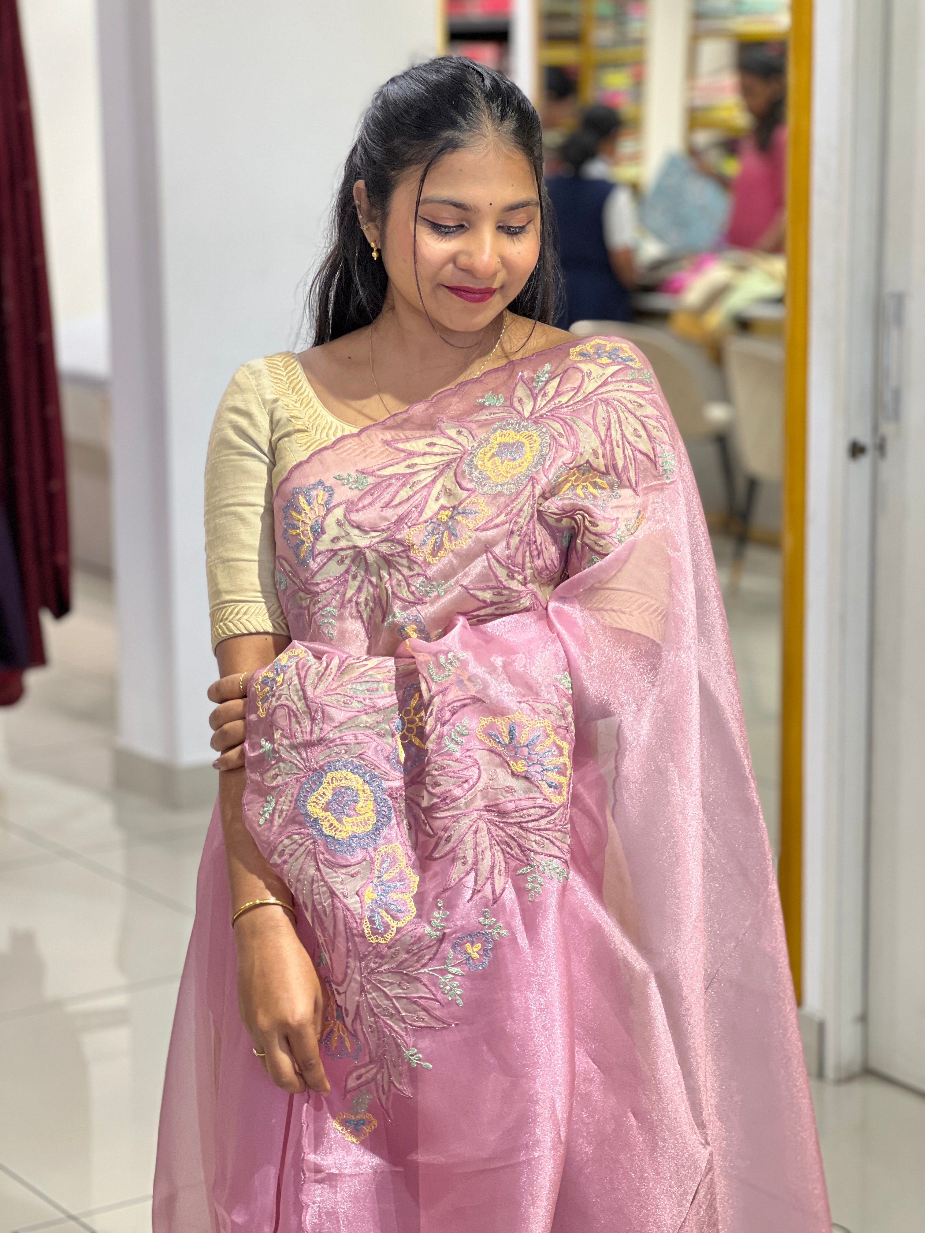Applique Detailed Shimmer Organza Saree | BLD1579