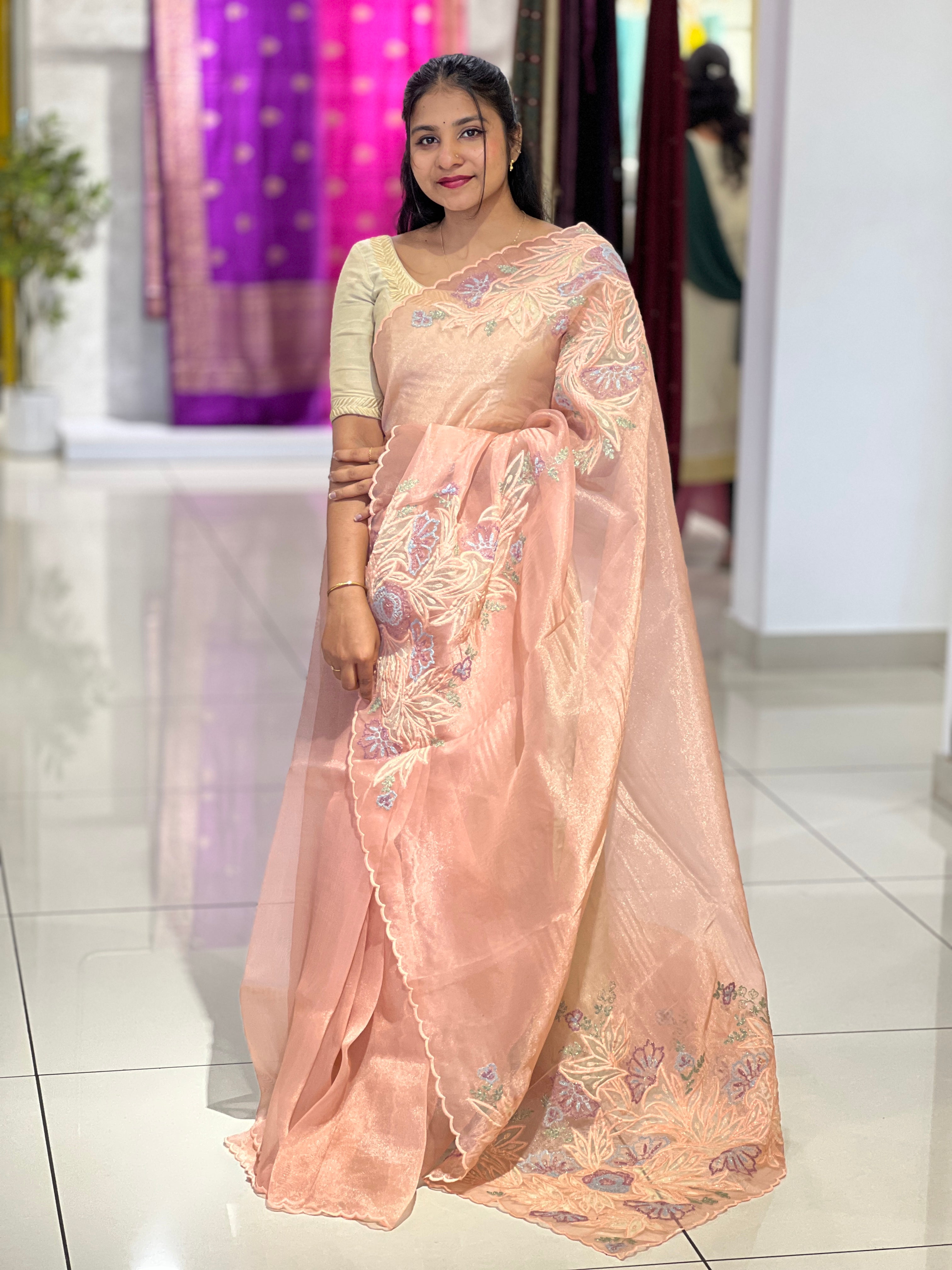 Applique Detailed Shimmer Organza Saree | BLD1578