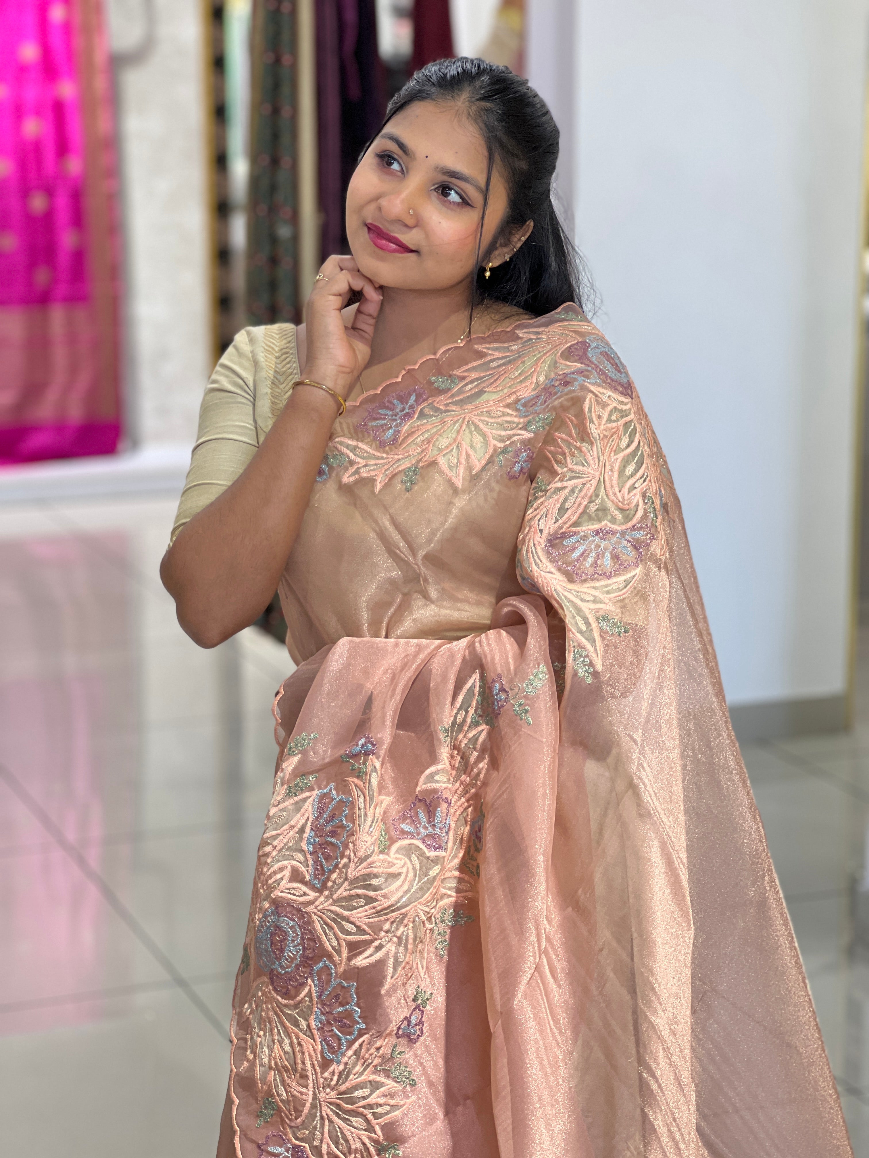 Applique Detailed Shimmer Organza Saree | BLD1578