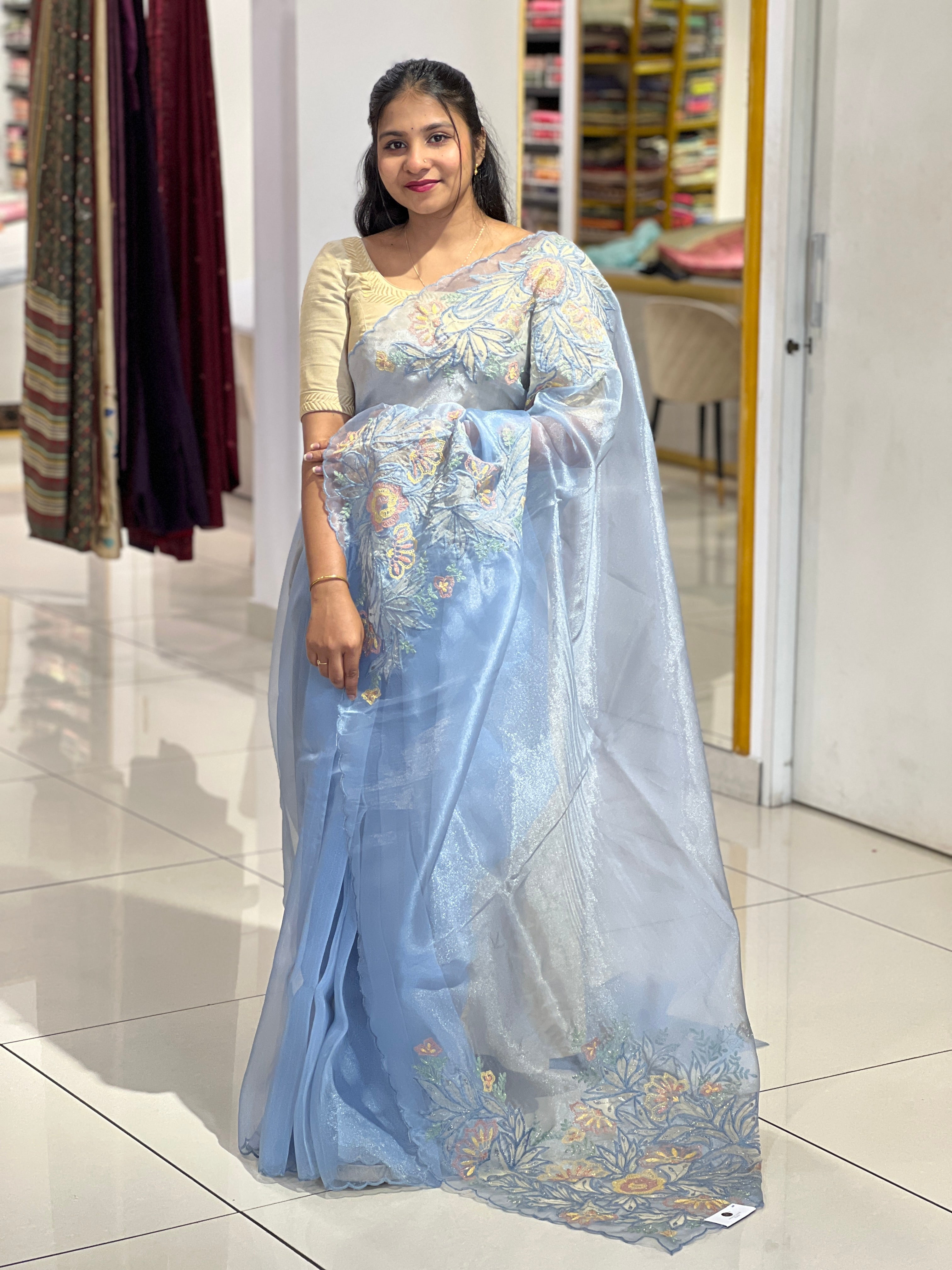Applique Detailed Shimmer Organza Saree | BLD1580