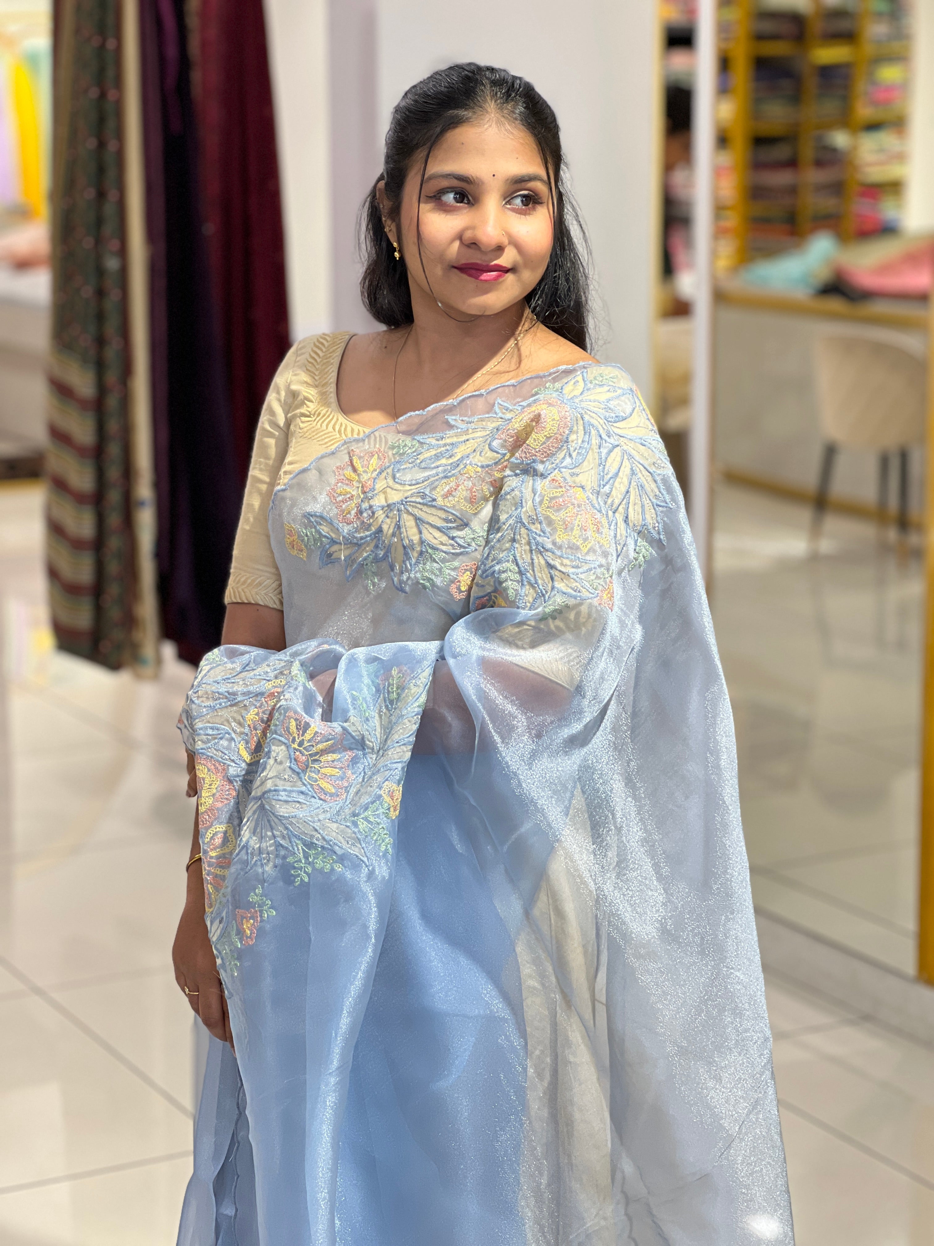 Applique Detailed Shimmer Organza Saree | BLD1580